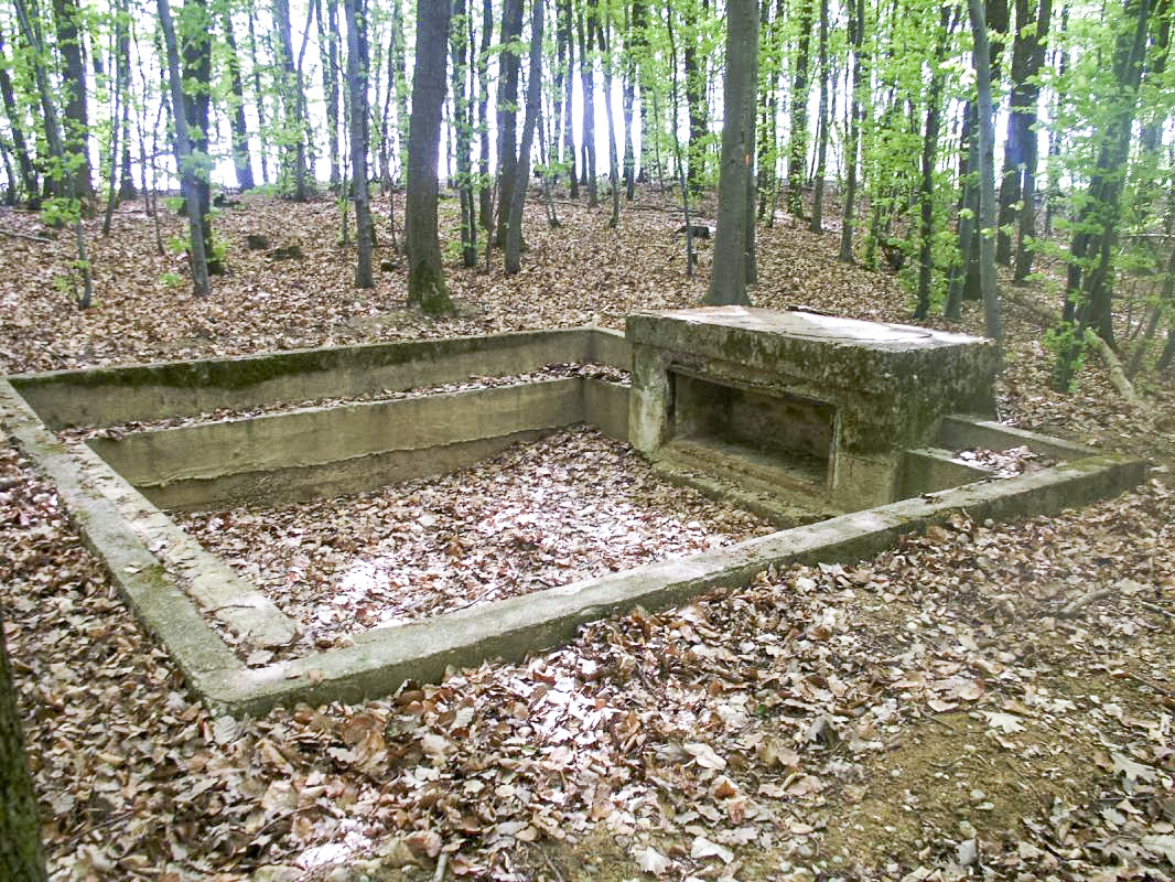 Ligne Maginot - ROTTENWALD 1 ( Cuve pour canon ) -  - GRAMI