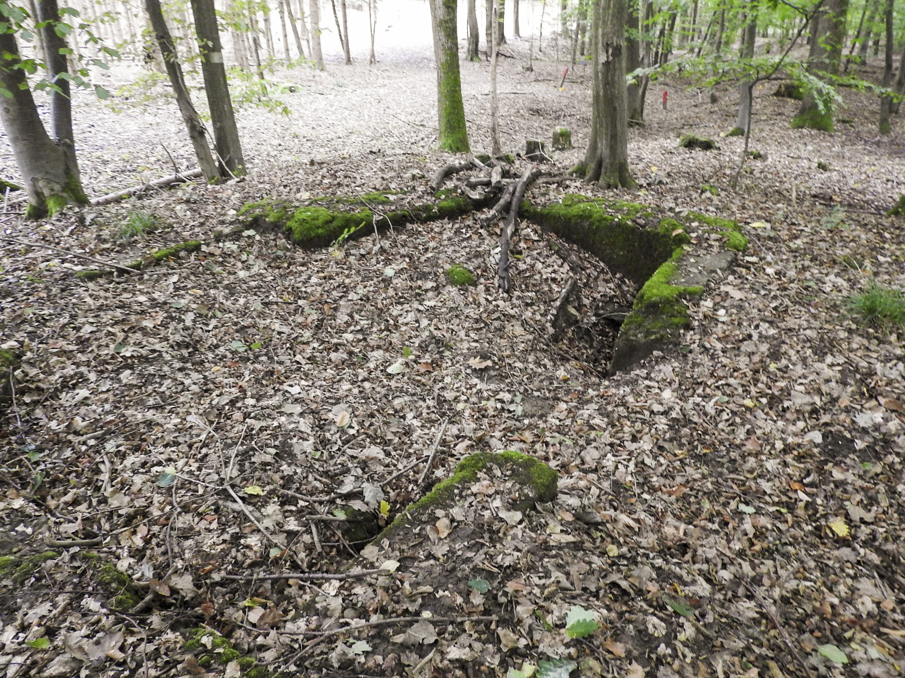 Ligne Maginot - ROTTENWALD 2 - (Cuve pour canon) - Les restes en partie remblayés de la cuve - STENGER Mathieu