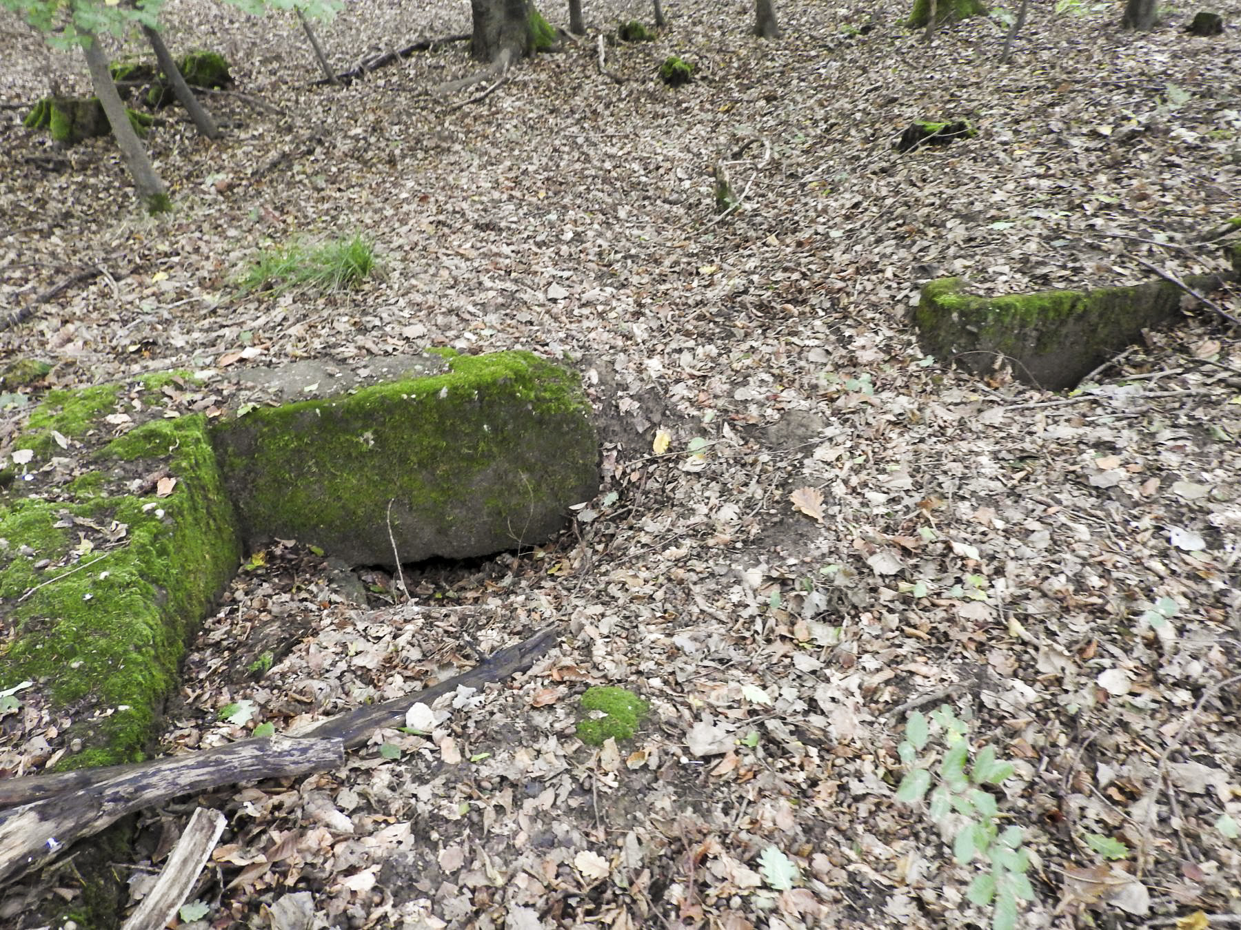 Ligne Maginot - ROTTENWALD 2 - (Cuve pour canon) - Les restes en partie remblayés de la cuve - STENGER Mathieu