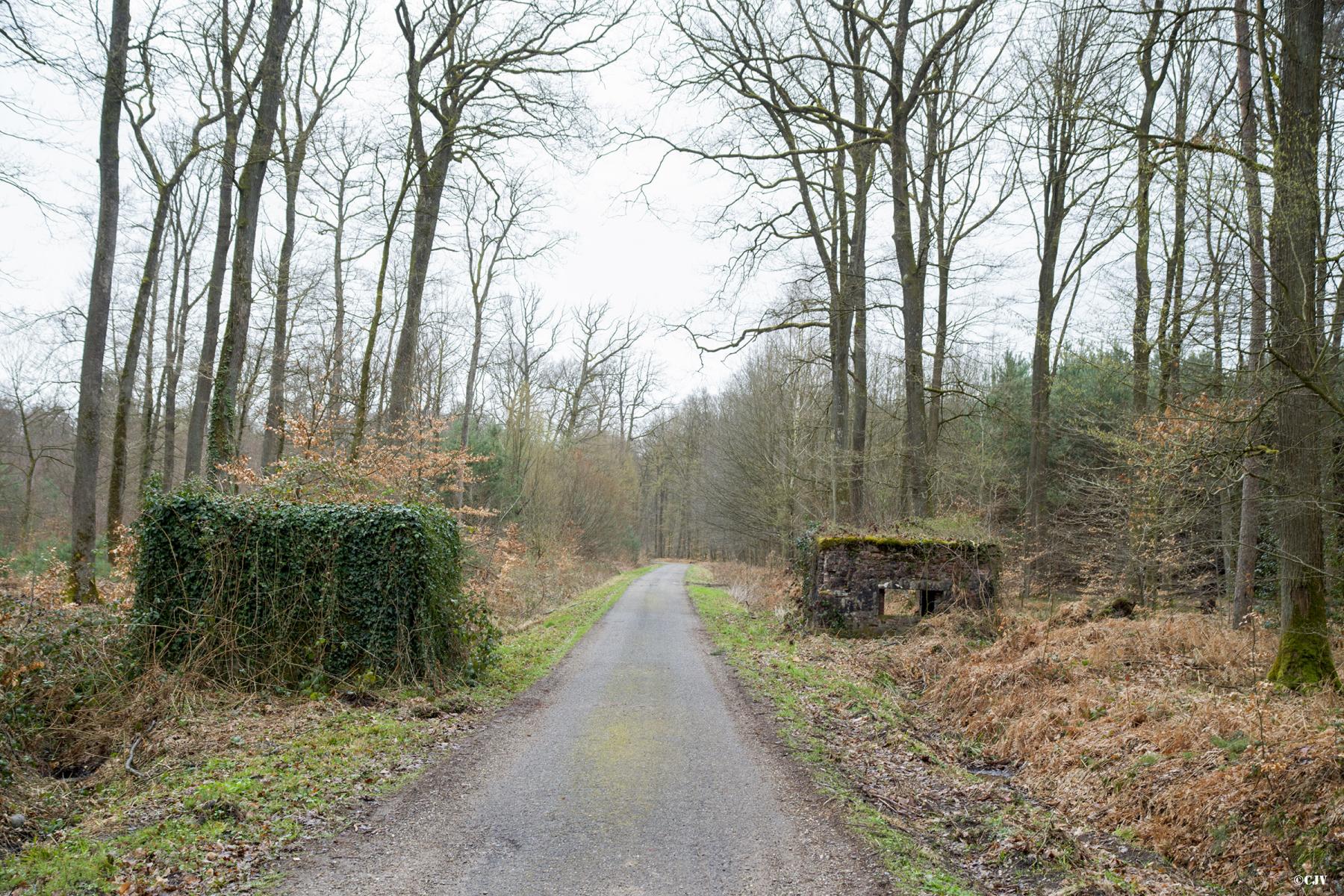 Ligne Maginot - ROUTE FORESTIERE DE LAUBACH 1 - (Blockhaus pour arme infanterie) -  - Lia VERMEULEN