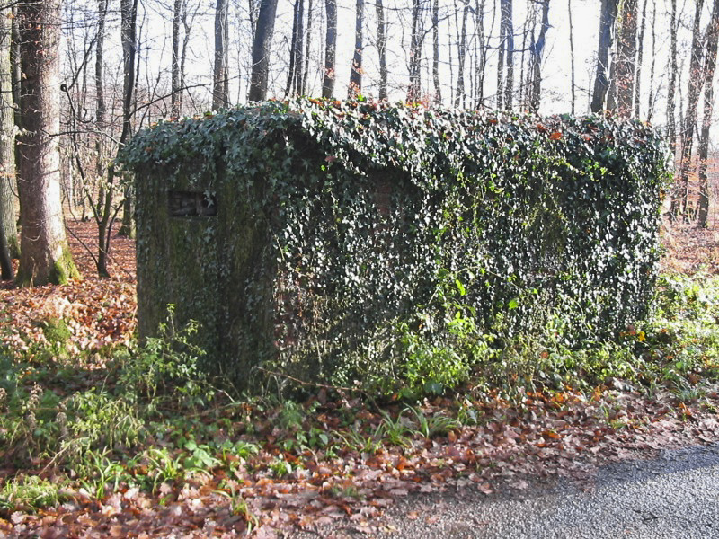 Ligne Maginot - ROUTE FORESTIERE DE LAUBACH 1 - (Blockhaus pour arme infanterie) -  - Antoine SCHOEN