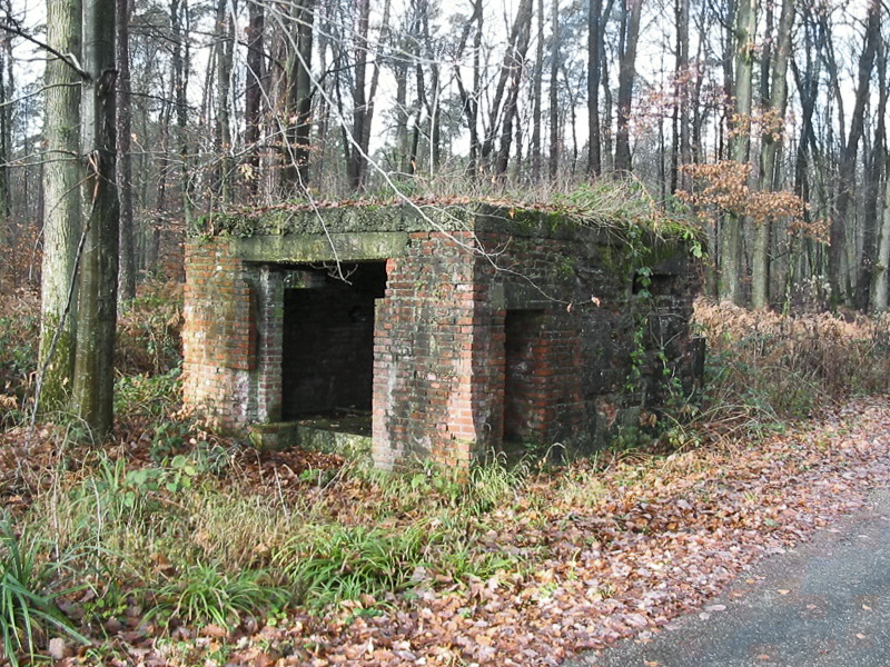 Ligne Maginot - ROUTE FORESTIERE DE LAUBACH 2 - (Blockhaus pour canon) -  - Antoine SCHOEN