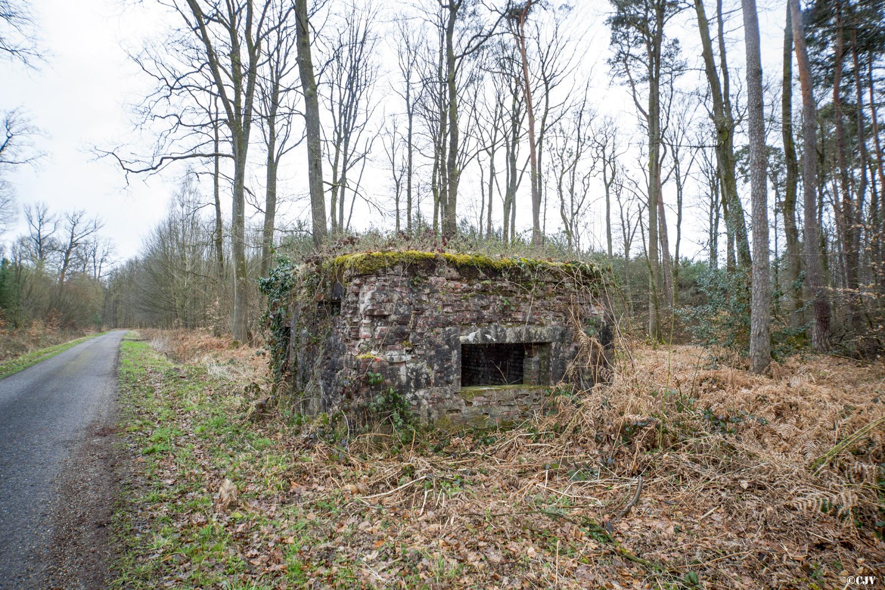 Ligne Maginot - ROUTE FORESTIERE DE LAUBACH 2 - (Blockhaus pour canon) -  - Lia VERMEULEN