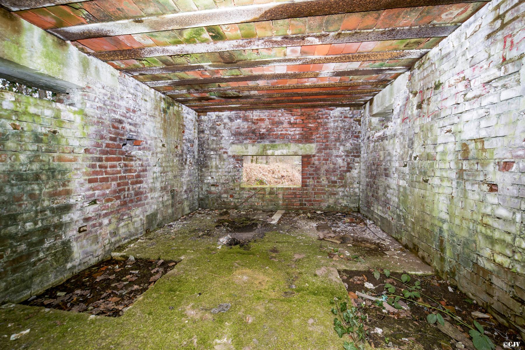 Ligne Maginot - ROUTE FORESTIERE DE LAUBACH 2 - (Blockhaus pour canon) -  - Lia VERMEULEN