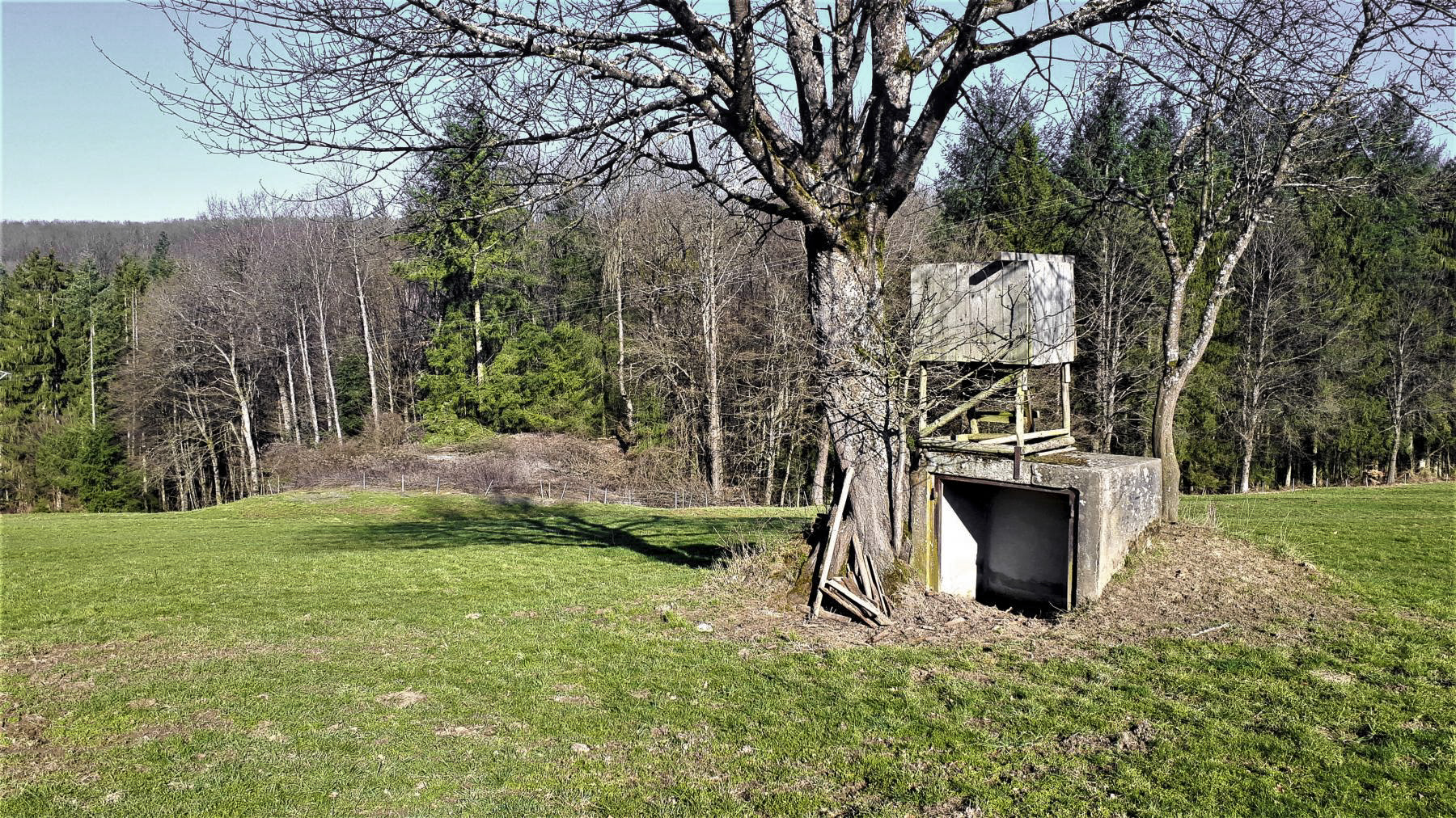 Ligne Maginot - SCHMELTZBACH EST - (Casemate d'infanterie - Double) - Niche à mines à proximité de la casemate - Gregory Fuchs