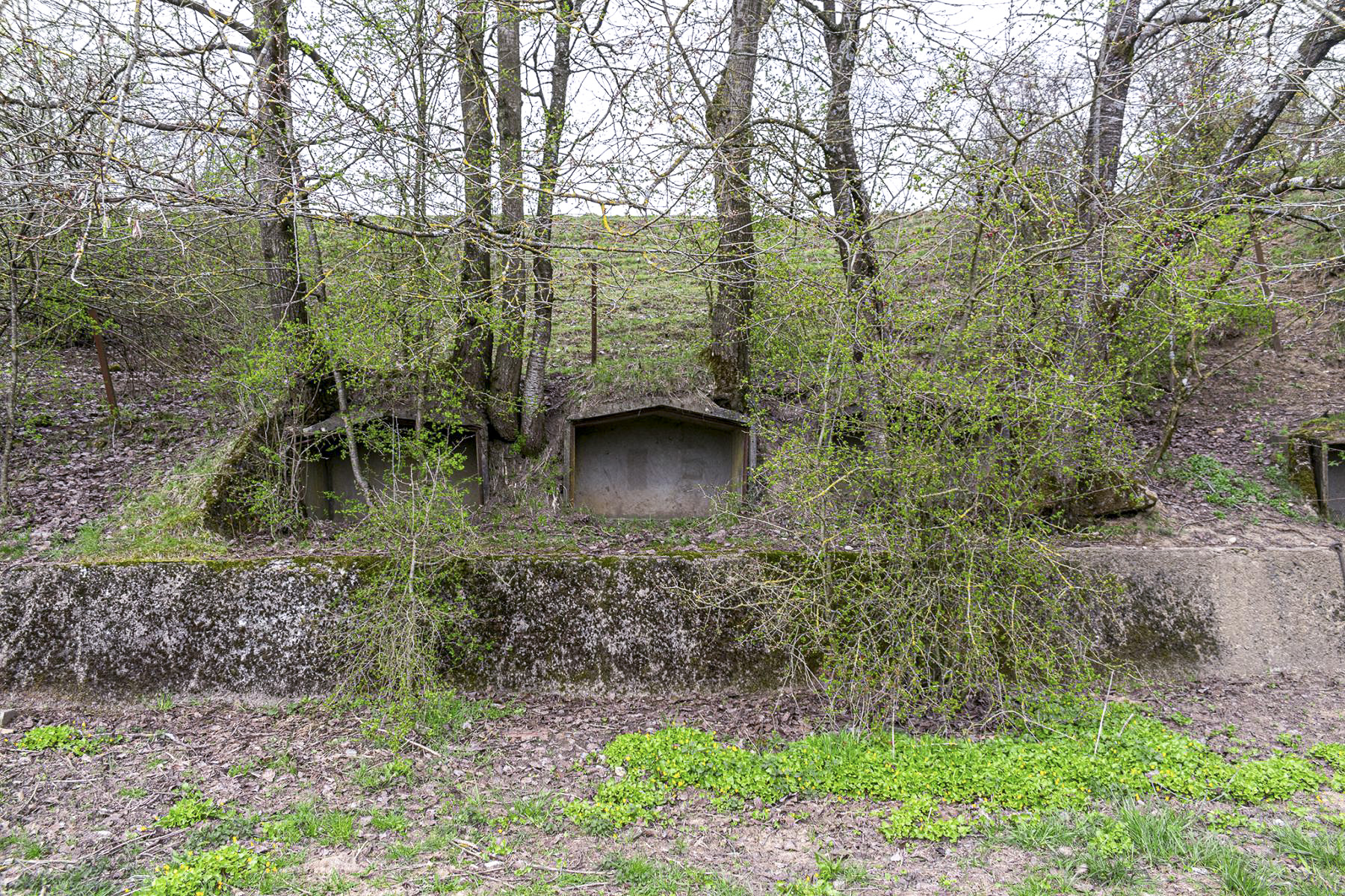 Ligne Maginot - LATIREMONT - A3 - (Ouvrage d'artillerie) - Niches pour mines - David Palmer