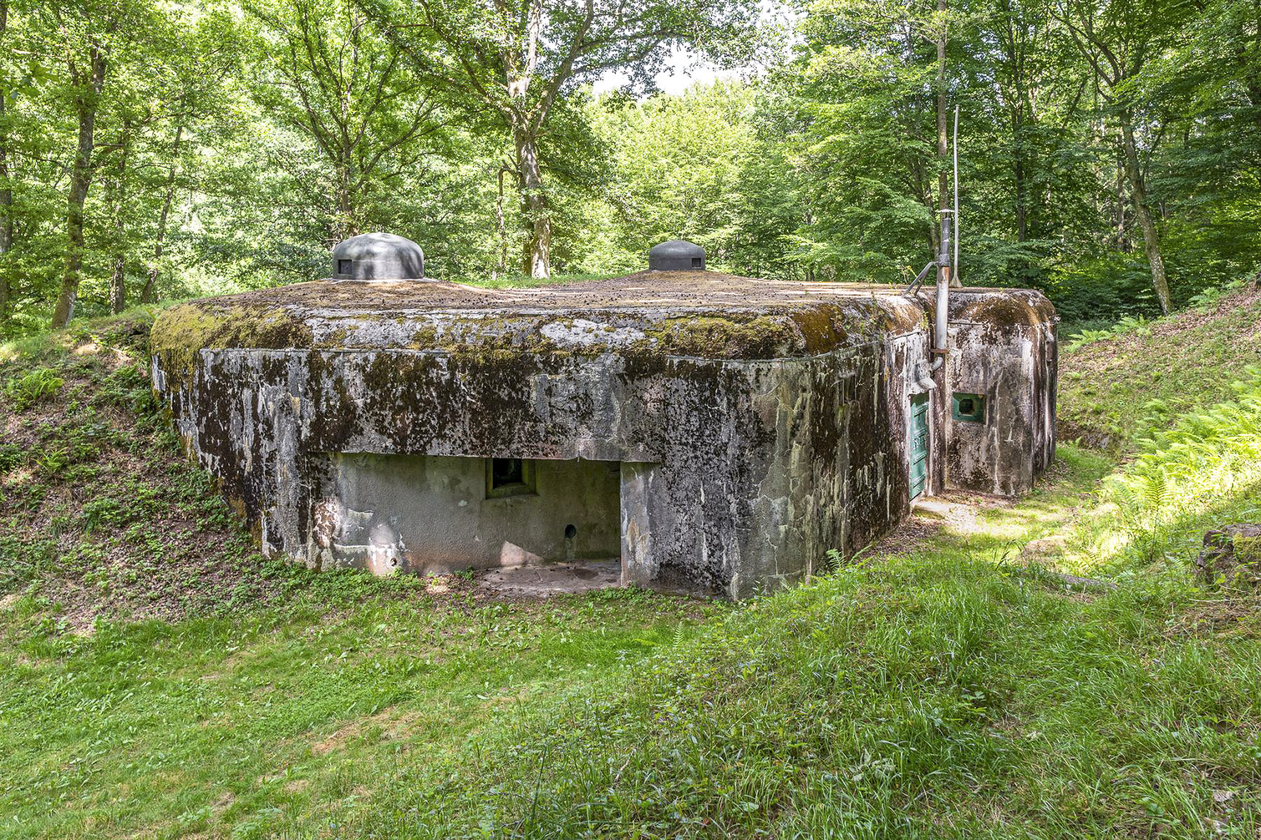 Ligne Maginot - DAMBACH SUD - C56 - (Casemate d'infanterie - Double) -  - David Palmer