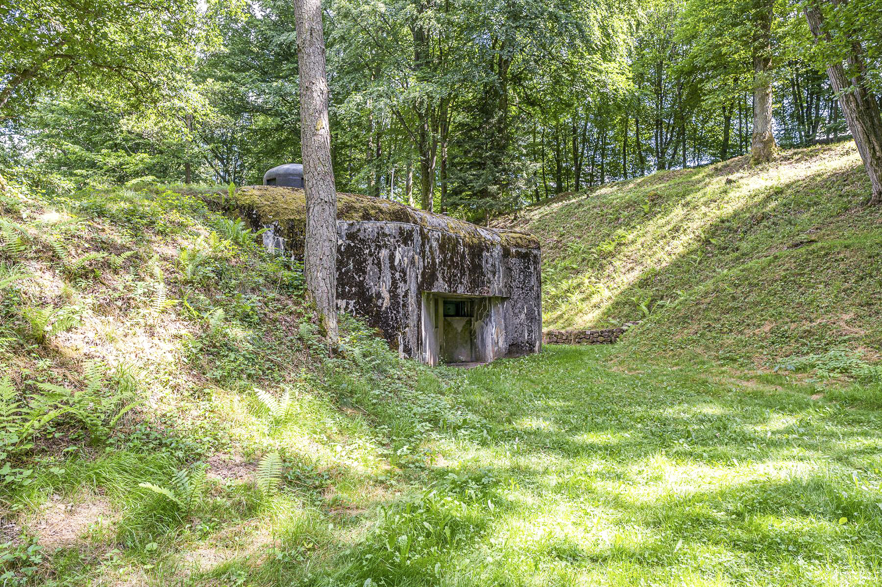 Ligne Maginot - DAMBACH SUD - C56 - (Casemate d'infanterie - Double) - Chambre de tir ouest
 - David Palmer