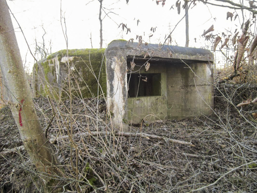 Ligne Maginot - STATION DE SURBOURG 2 - (Blockhaus de type indeterminé) -                  - gregfuchs