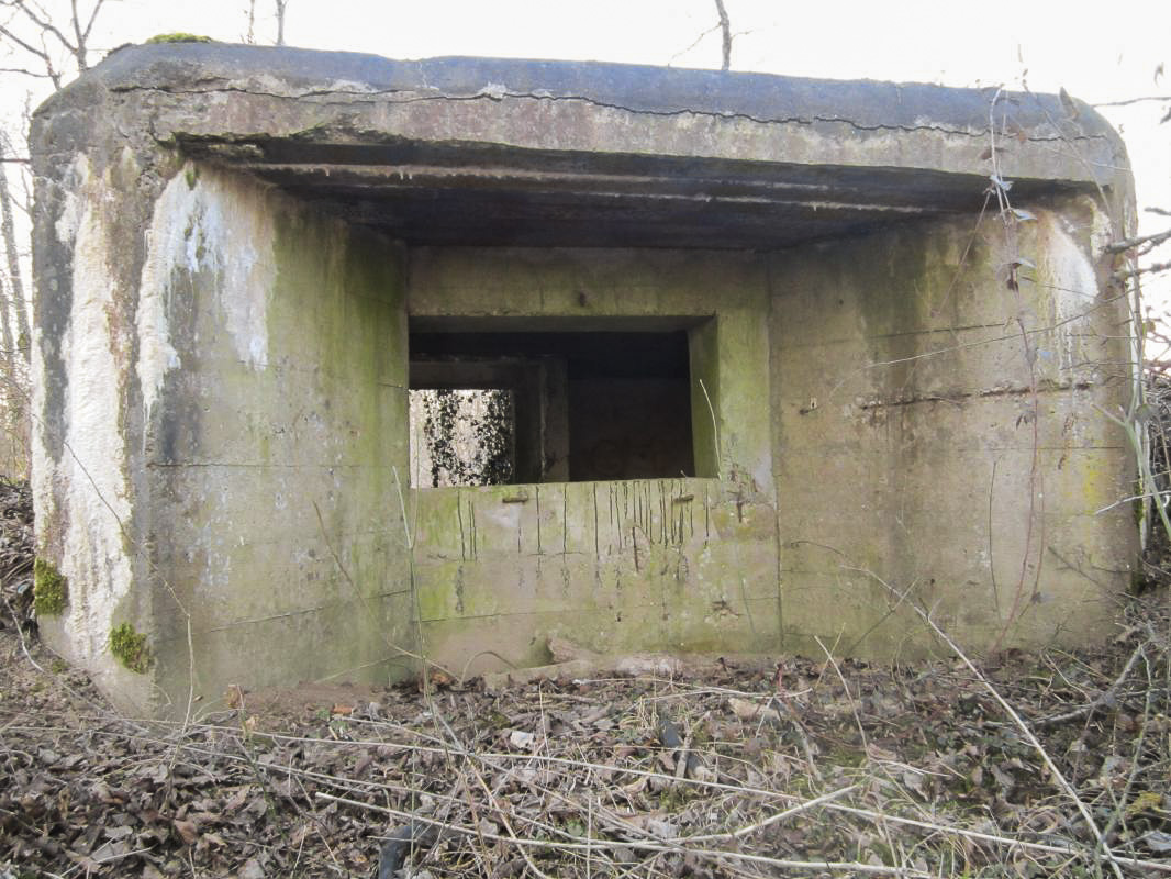 Ligne Maginot - STATION DE SURBOURG 2 - (Blockhaus de type indeterminé) -                   - gregfuchs