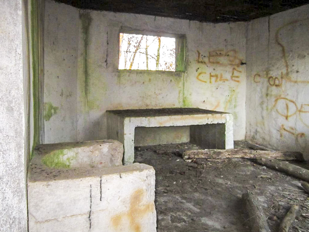 Ligne Maginot - STATION DE SURBOURG 2 - (Blockhaus de type indeterminé) -  - gregfuchs
