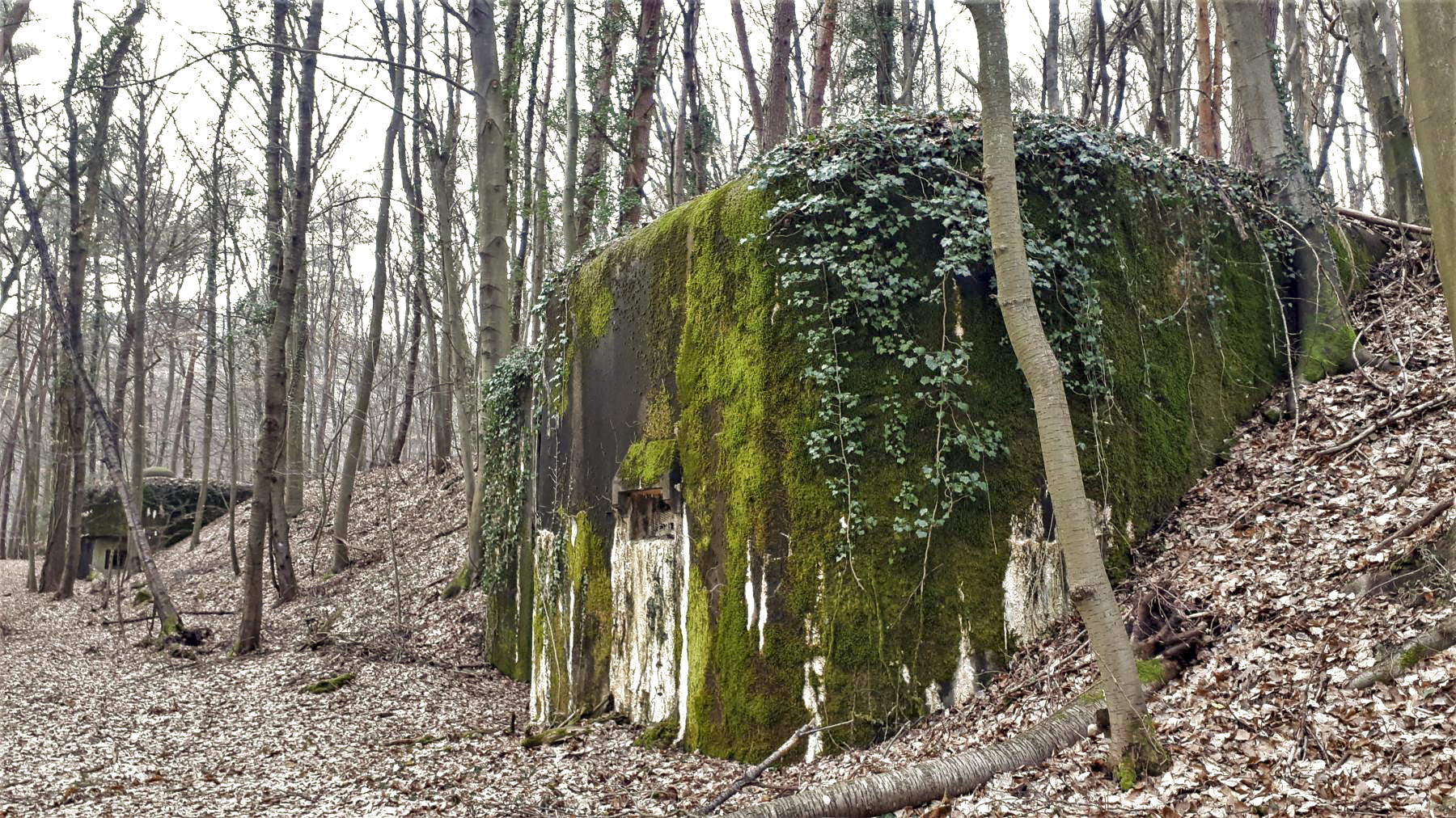 Ligne Maginot - WALKMUHL - (Abri) - Le coffre ouest - Gregory Fuchs