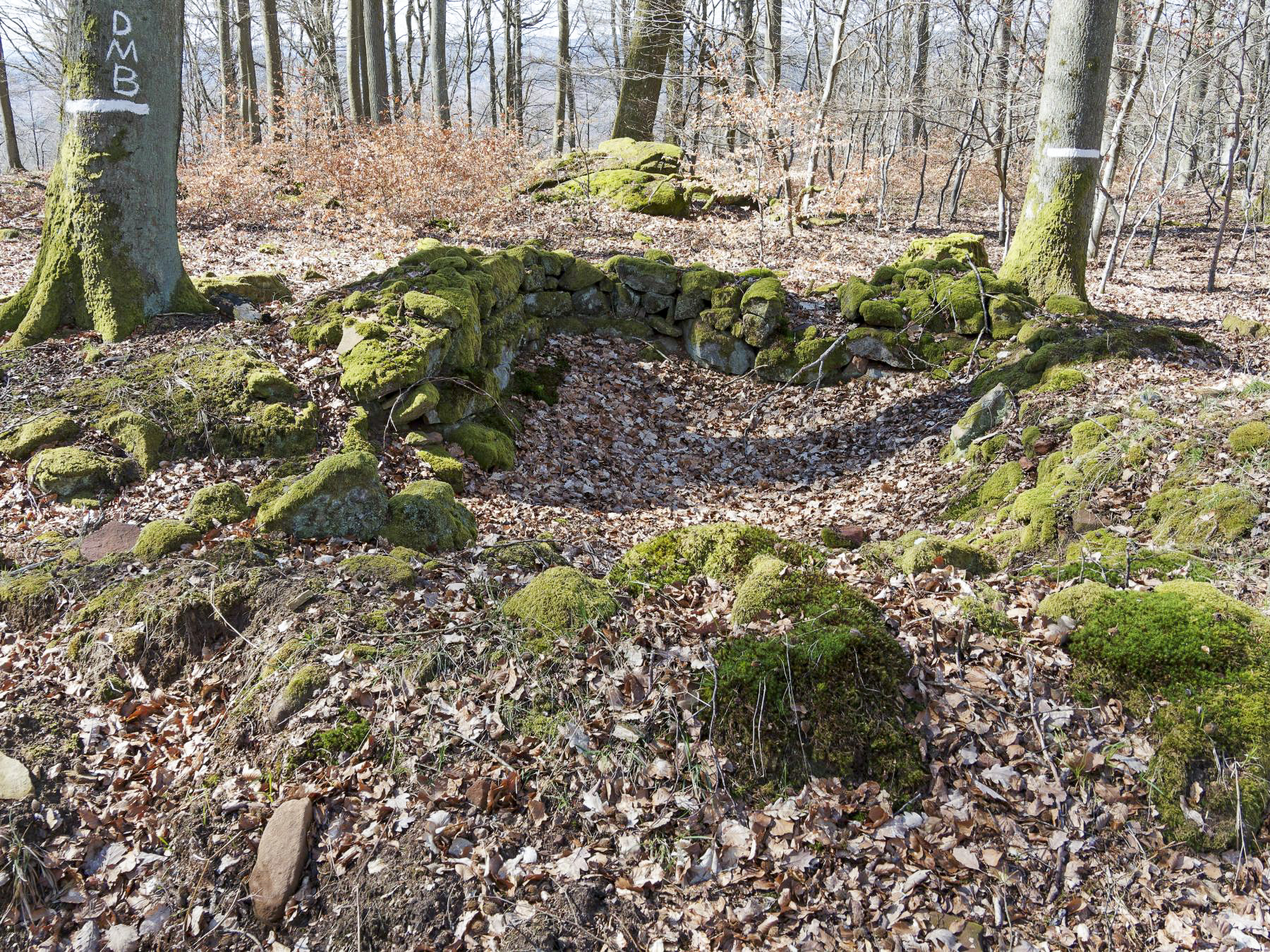 Ligne Maginot - PLATEAU D'EXIL (POINT D'APPUI) - (Divers) -  - Jürgen Morr