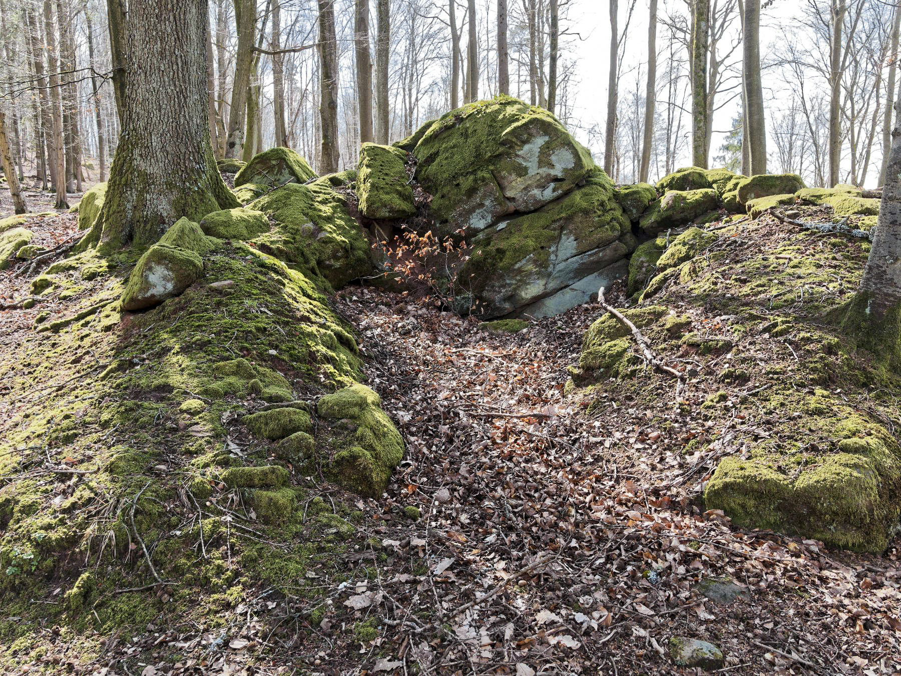 Ligne Maginot - PLATEAU D'EXIL (POINT D'APPUI) - (Divers) -  - Jürgen Morr