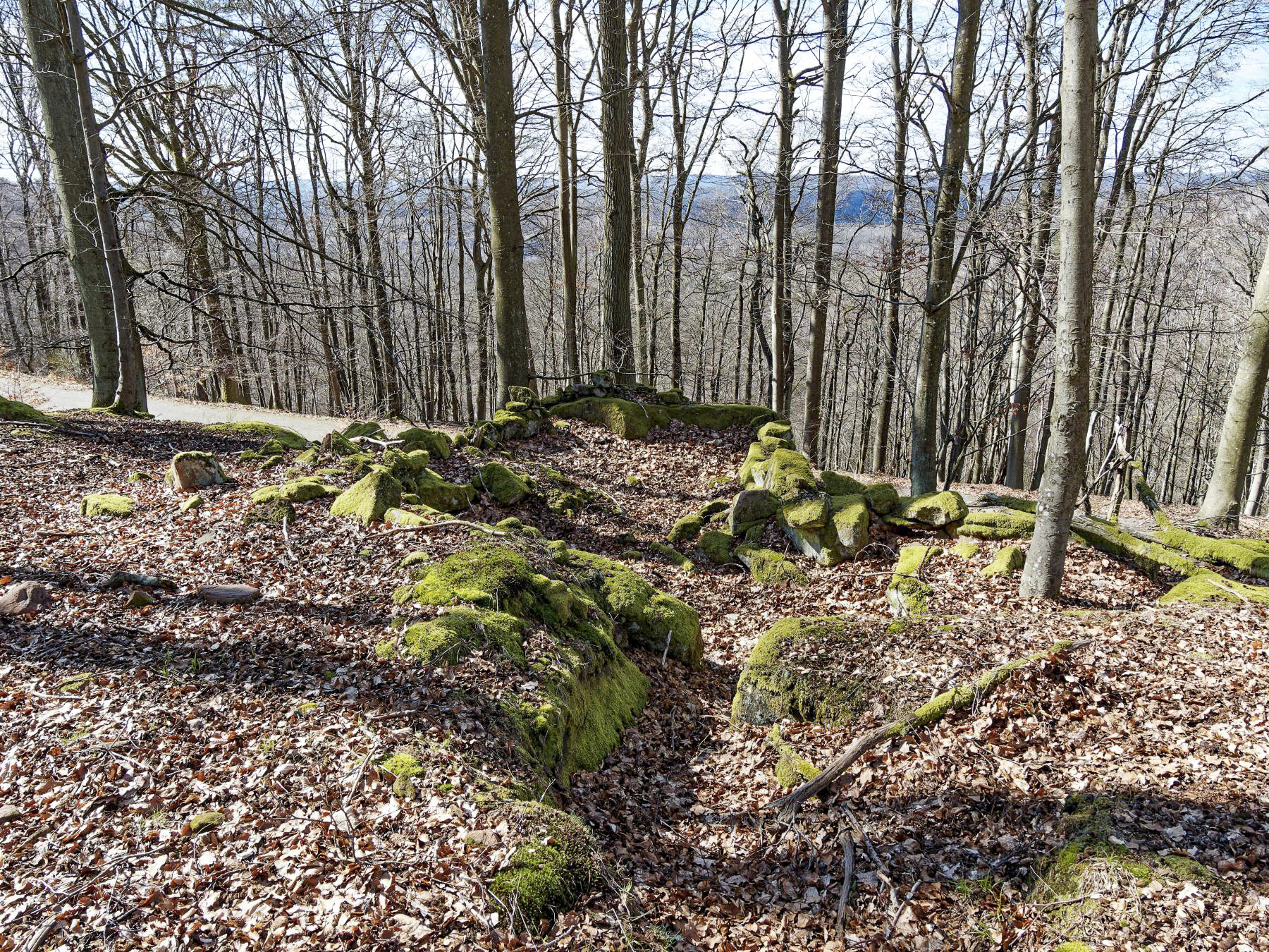 Ligne Maginot - PLATEAU D'EXIL (POINT D'APPUI) - (Divers) -  - Jürgen Morr