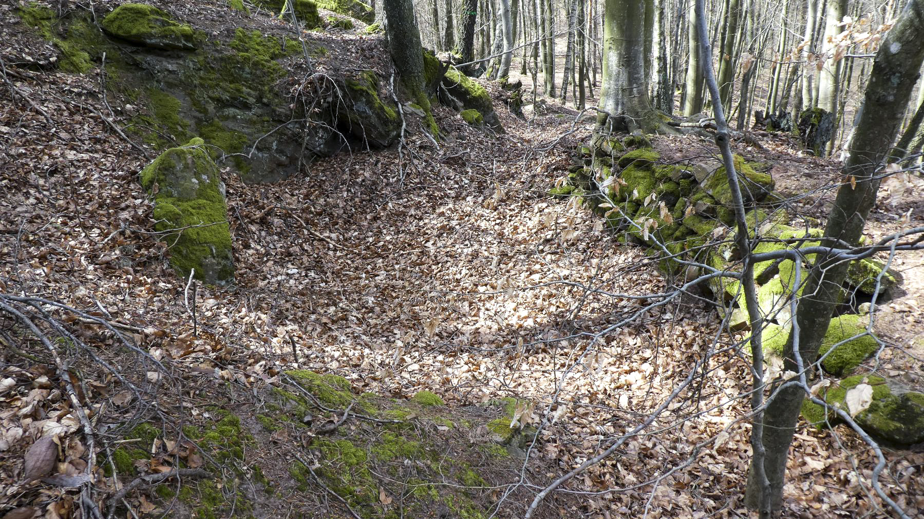 Ligne Maginot - HAUT-WARSBERG (POINT D'APPUI) - (Divers) - Tranchée périphérique
 - Roo