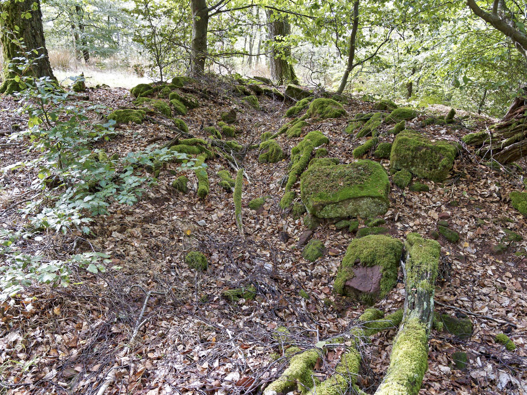 Ligne Maginot - KAMELSBERG (POINT D'APPUI) - (Divers) - Position fortifiée avec des pierres de lecture - Jürgen Morr