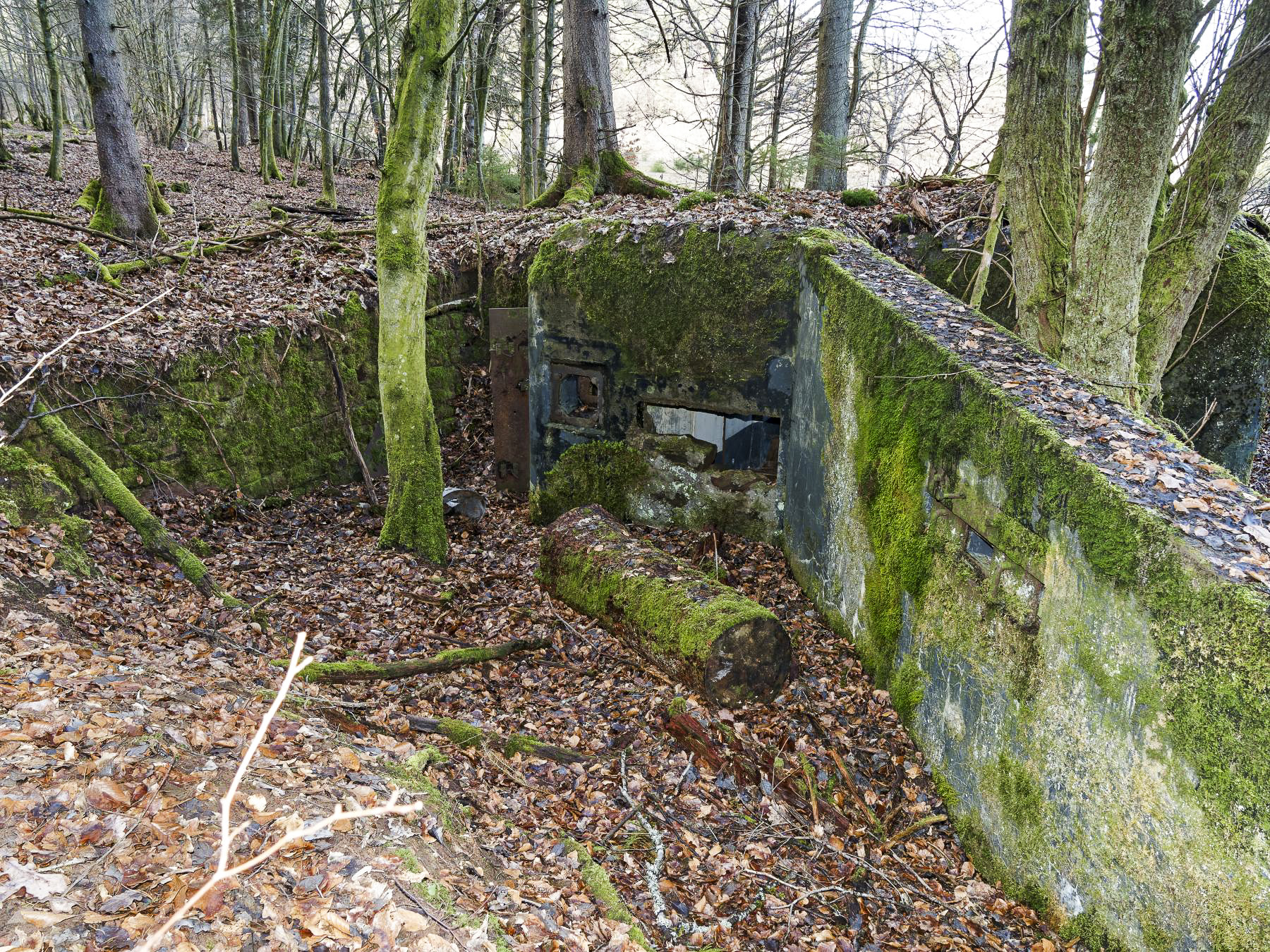 Ligne Maginot - NEUWEIHER 1 - (Blockhaus pour canon) -  - Jürgen Morr