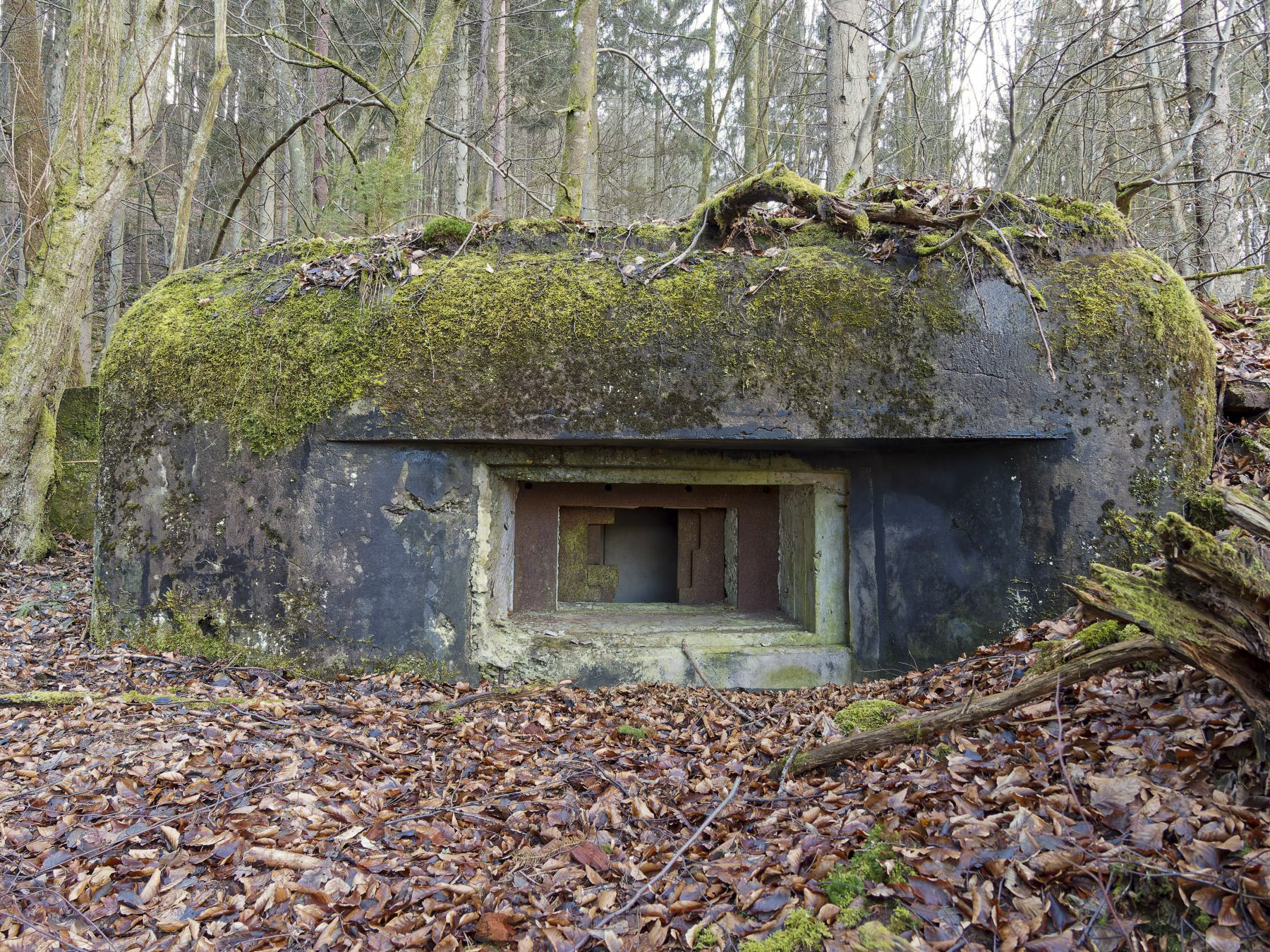 Ligne Maginot - NEUWEIHER 1 - (Blockhaus pour canon) -  - Jürgen Morr