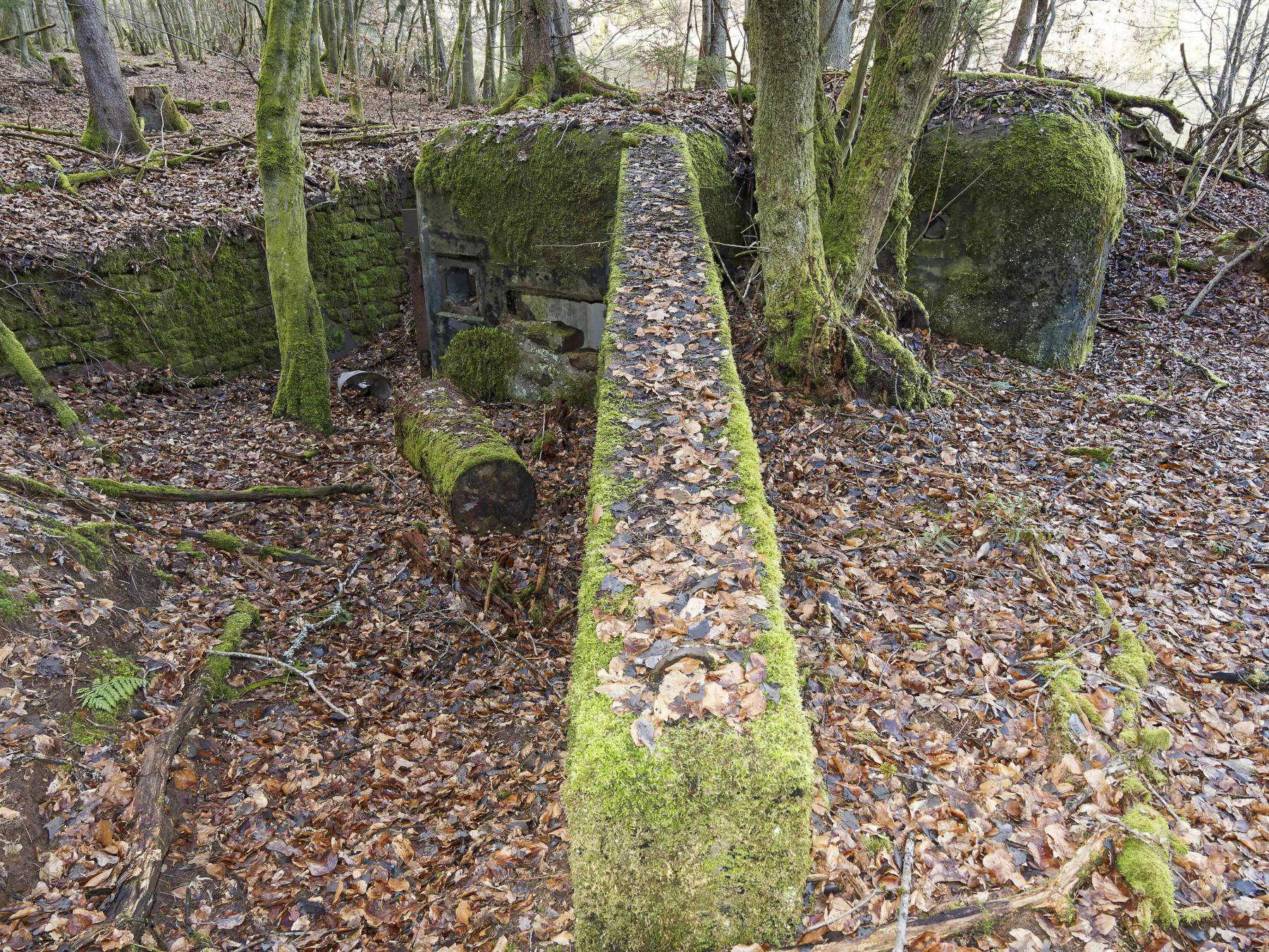 Ligne Maginot - NEUWEIHER 1 - (Blockhaus pour canon) -  - Jürgen Morr
