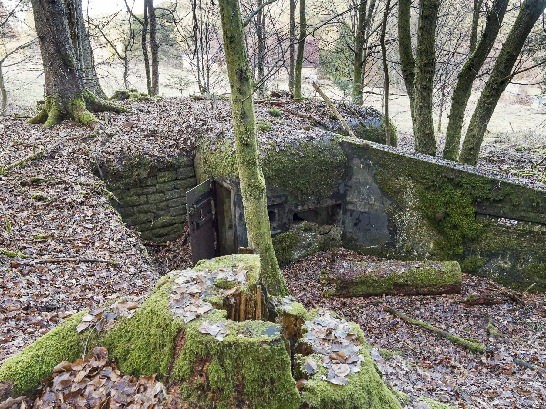 Ligne Maginot - NEUWEIHER 1 - (Blockhaus pour canon) - Le coté entrée et dispositif de mise à feu du DMP - Jürgen Morr