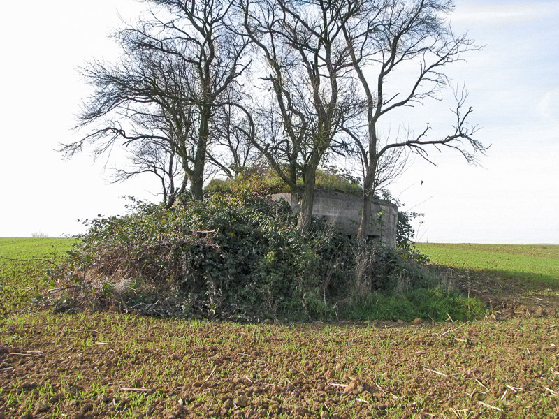 Ligne Maginot - BEIMERACKER - (Blockhaus pour arme infanterie) - Vue générale extérieure - Antoine SCHOEN