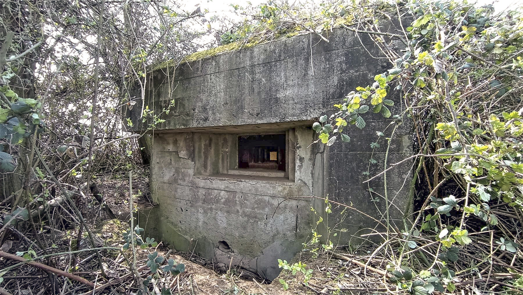 Ligne Maginot - BEIMERACKER - (Blockhaus pour arme infanterie) - Façade de la chambre de tir - Baptiste GAUDIN