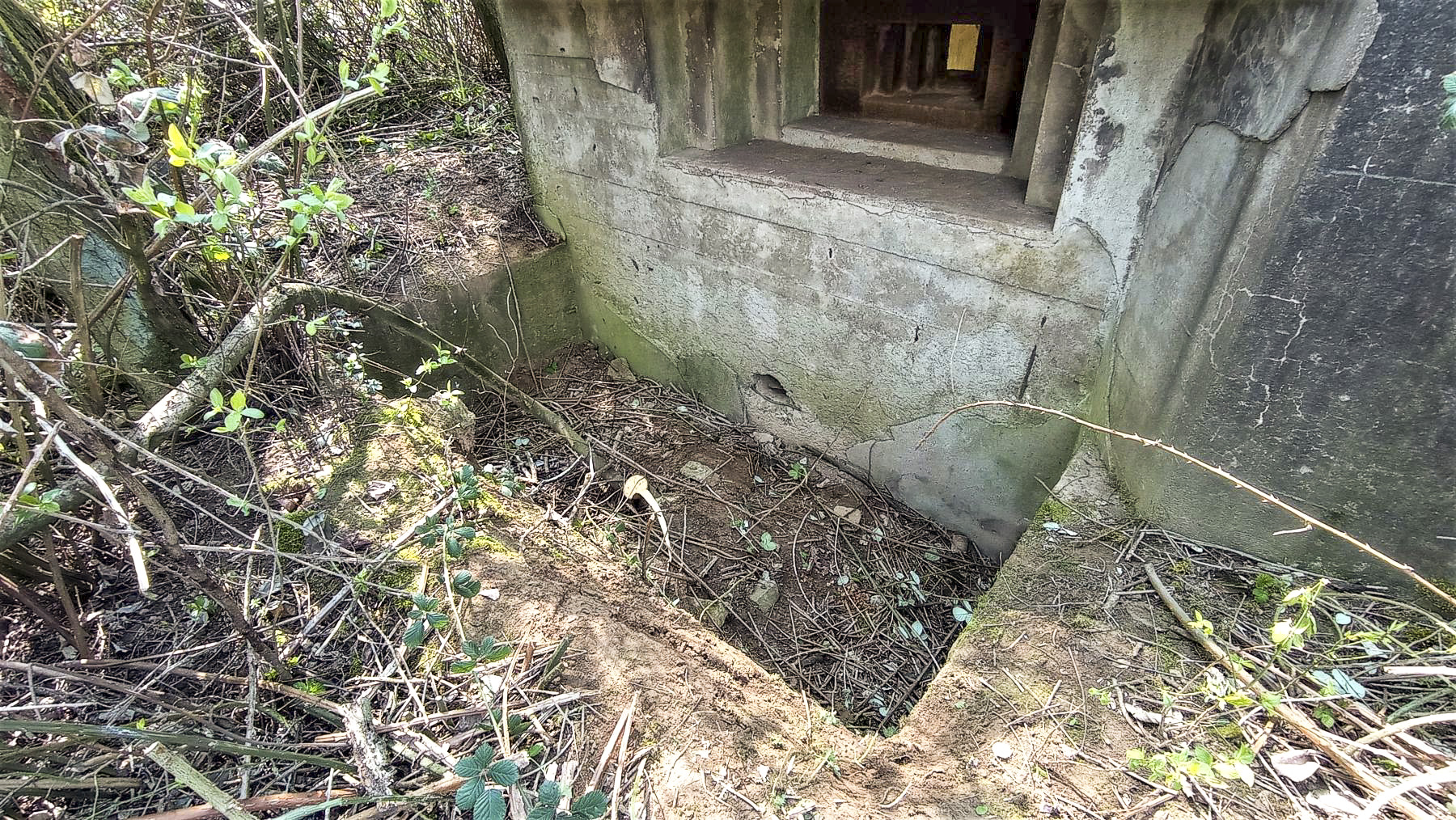 Ligne Maginot - BEIMERACKER - (Blockhaus pour arme infanterie) - Fosse à douille - Baptiste GAUDIN