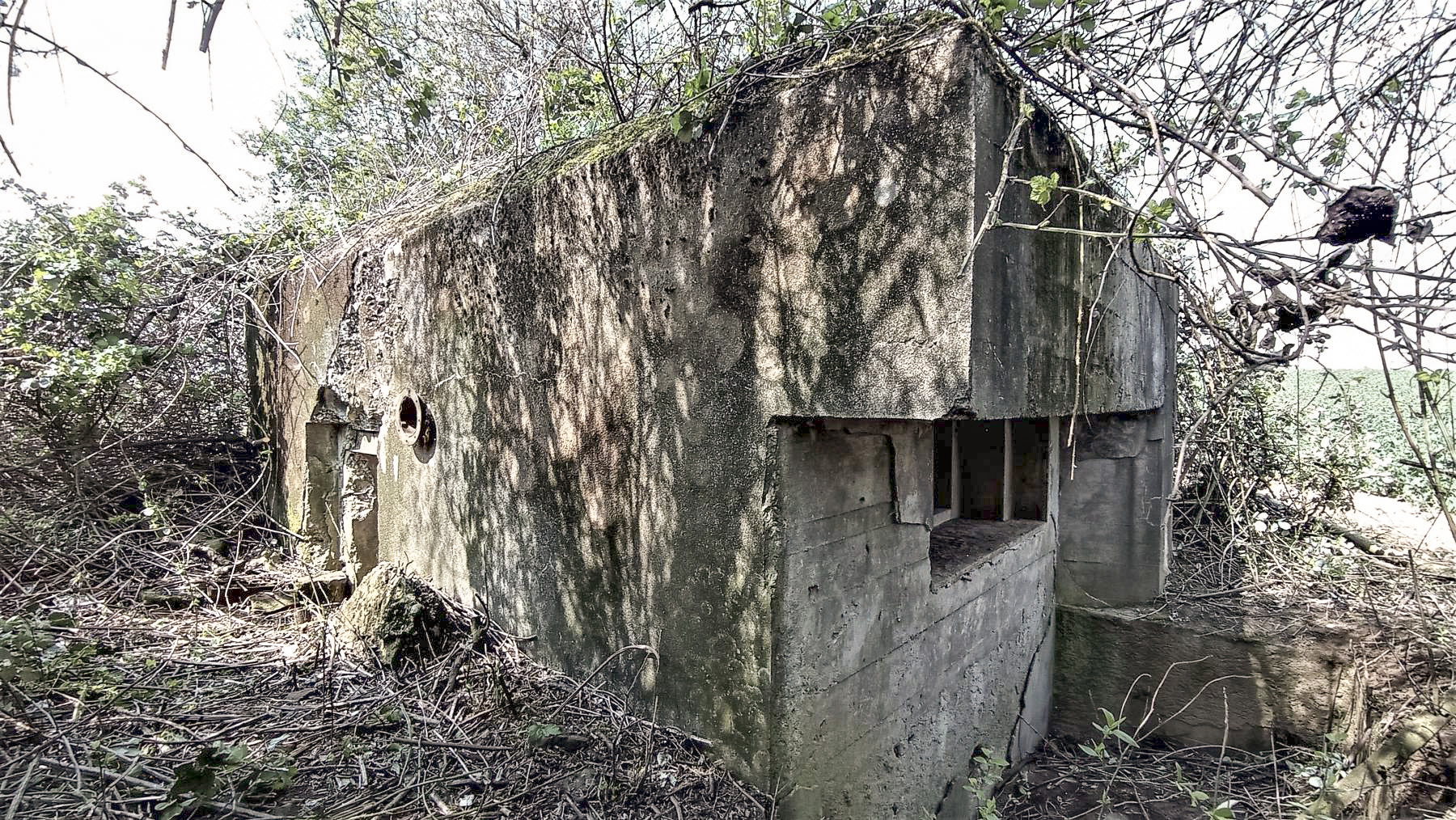 Ligne Maginot - BEIMERACKER - (Blockhaus pour arme infanterie) - Vu sur le créneau et l'entrée - Baptiste GAUDIN