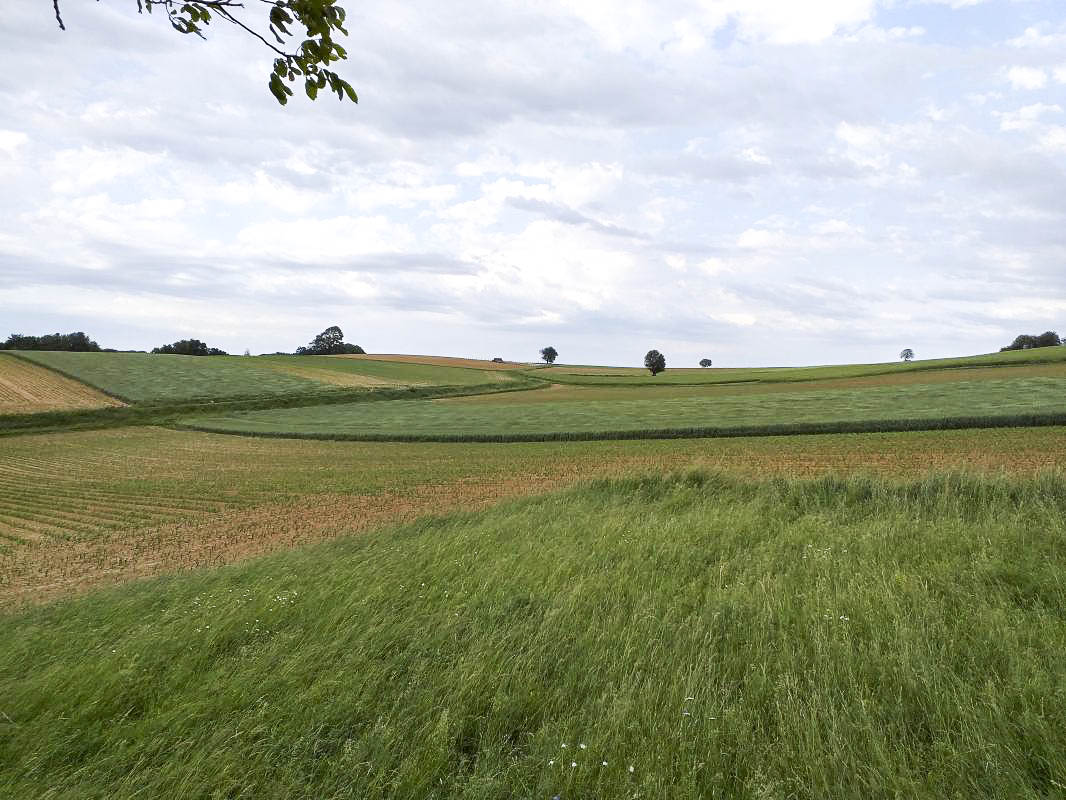 Ligne Maginot - HECKENMUEHLE EST - (Blockhaus pour canon) - Direction de tir du bloc - Gregory Fuchs