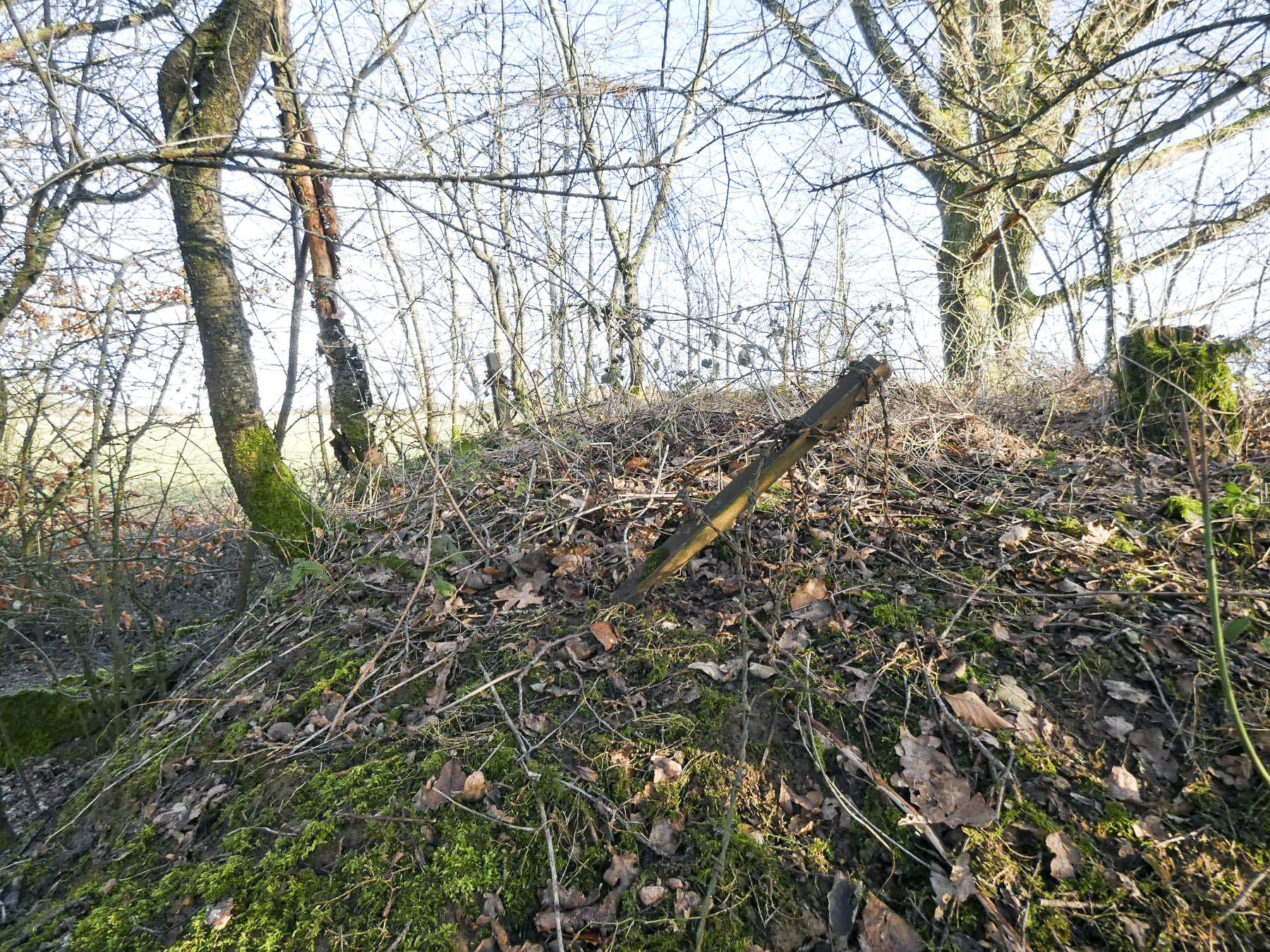 Ligne Maginot - LEGERET NORD 1 - C55-B - (Blockhaus pour canon) - Des restes de réseaux anti-personnel sur la dalle du blockhaus. - STENGER Mathieu