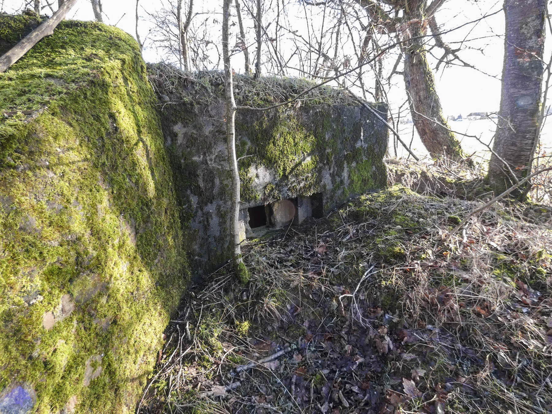 Ligne Maginot - LEGERET NORD 2 - GM1 - (Blockhaus pour arme infanterie) - Le premier créneaux pour une mitrailleuse. - STENGER Mathieu