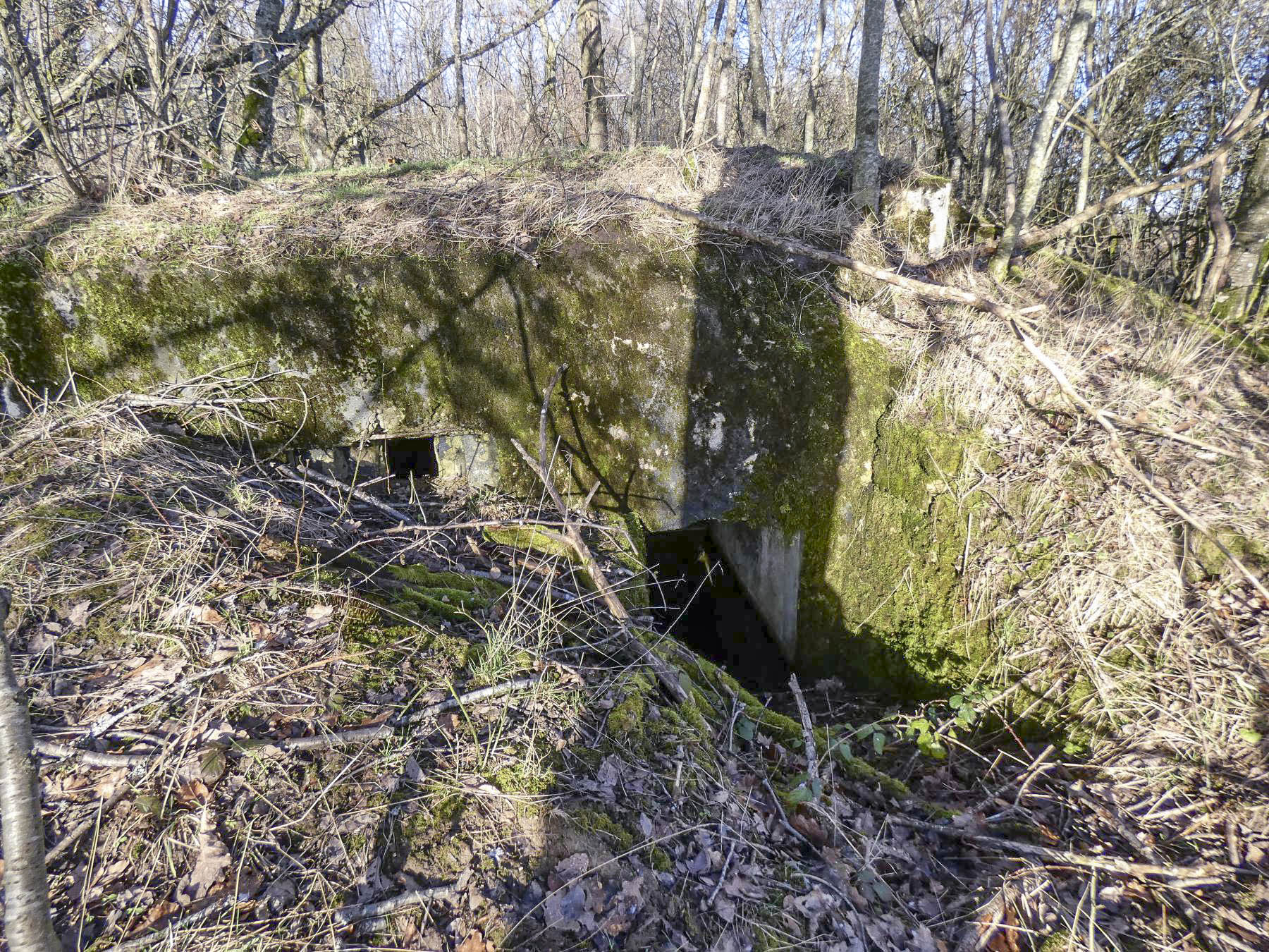 Ligne Maginot - LEGERET NORD 2 - GM1 - (Blockhaus pour arme infanterie) - L'entrée du blockhaus et le créneau pour FM. - STENGER Mathieu