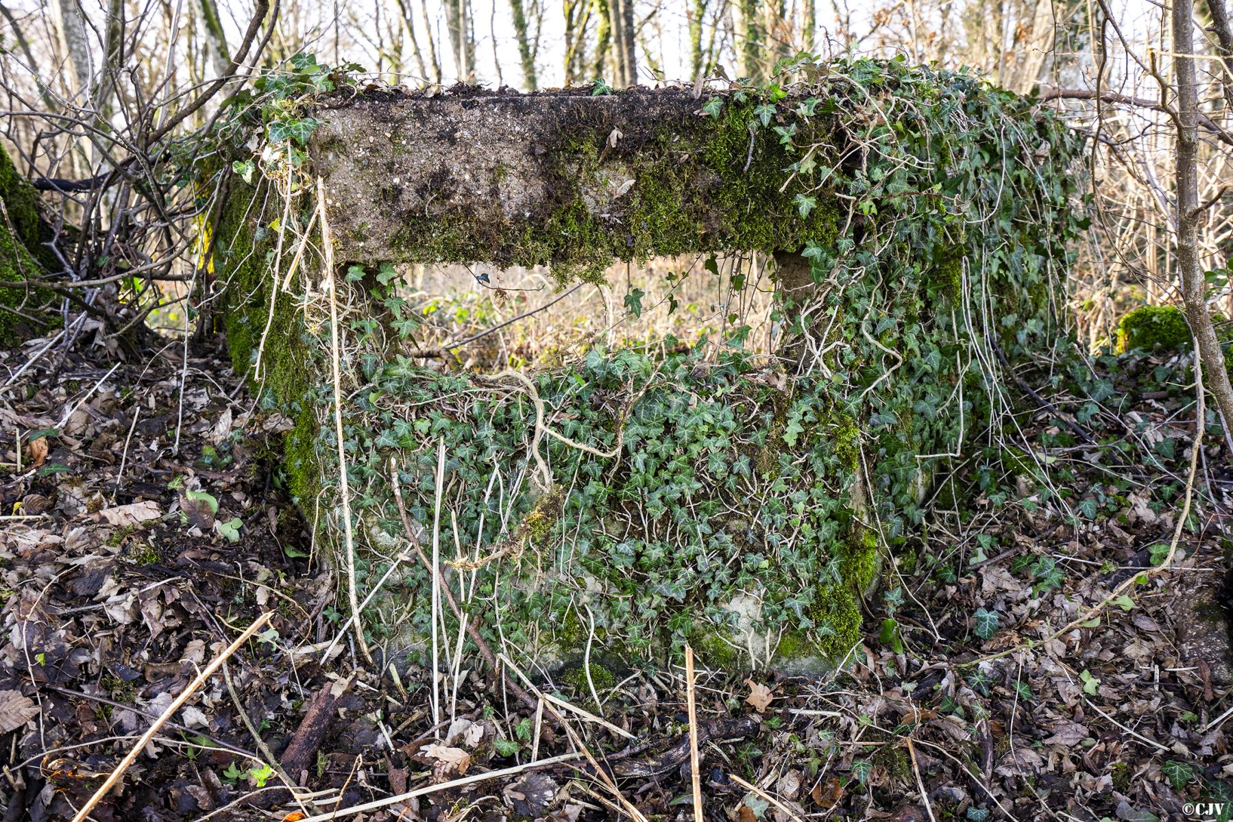Ligne Maginot - PINAUSET - (Blockhaus pour arme infanterie) -  - Lia Vermeulen