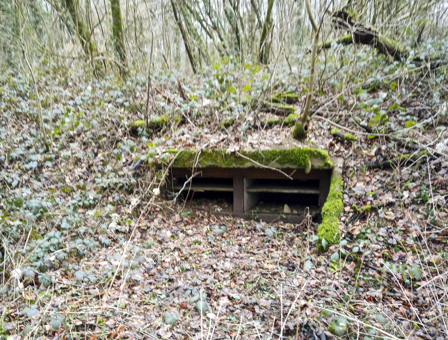 Ligne Maginot - GRAND BOIS - (Dépôt de Munitions) - Niche - Marc Fossoul