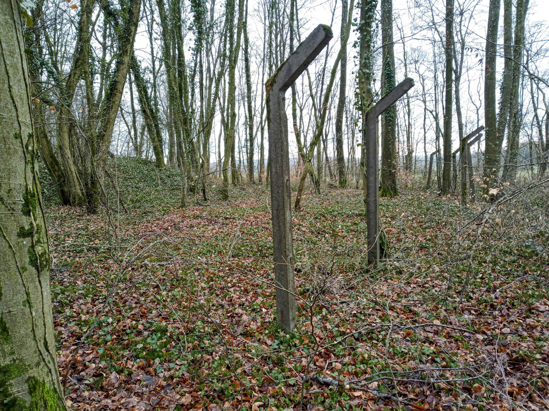 Ligne Maginot - GRAND BOIS - (Dépôt de Munitions) -  - Marc Fossoul