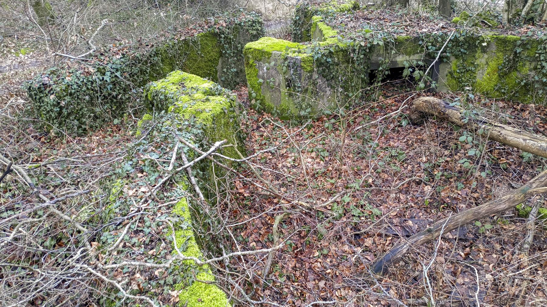 Ligne Maginot - DC5 - (Cuve pour canon) -  - Marc Fossoul