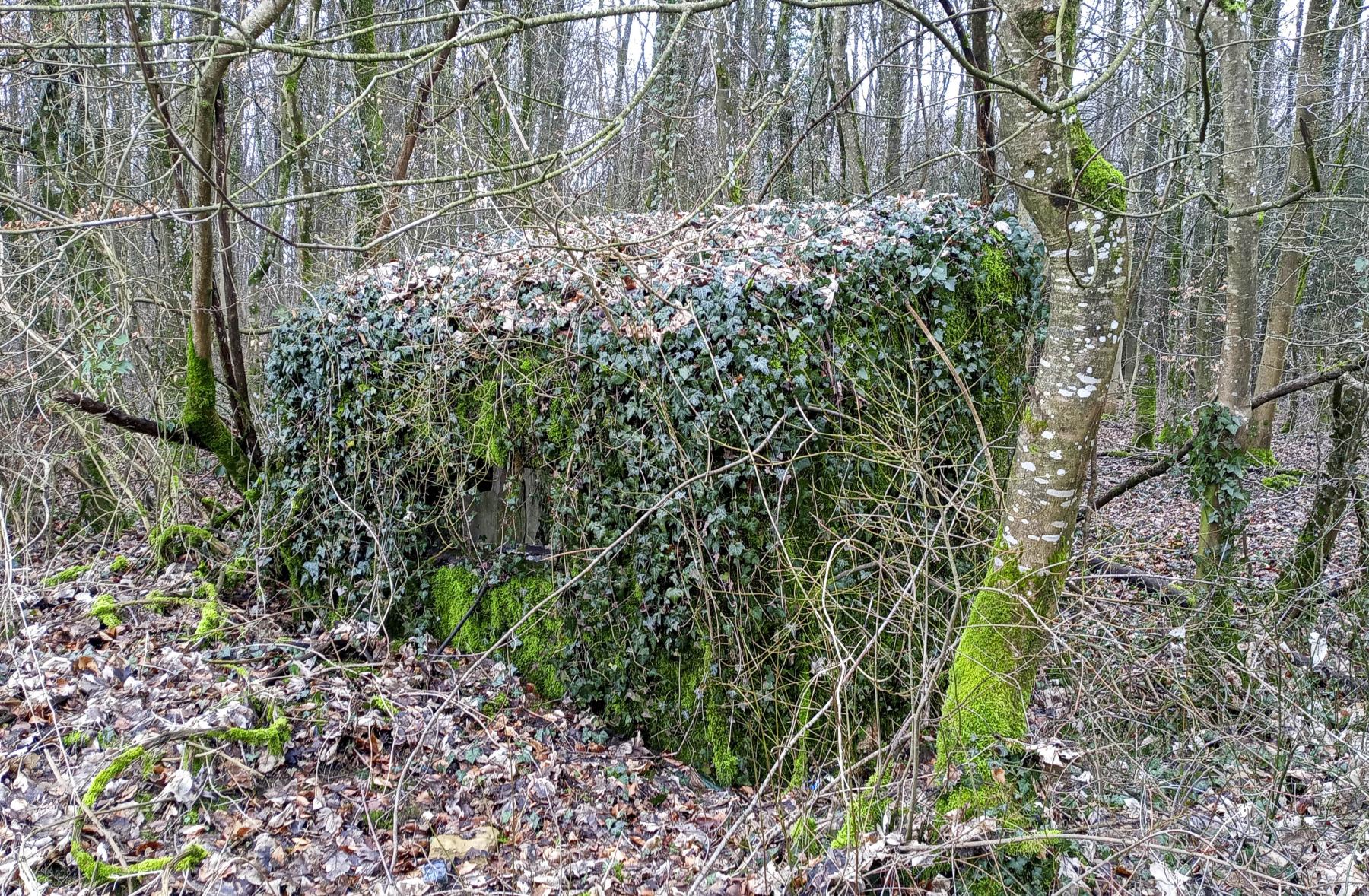 Ligne Maginot - DBO5 - (Blockhaus pour canon) -  - Marc Fossoul