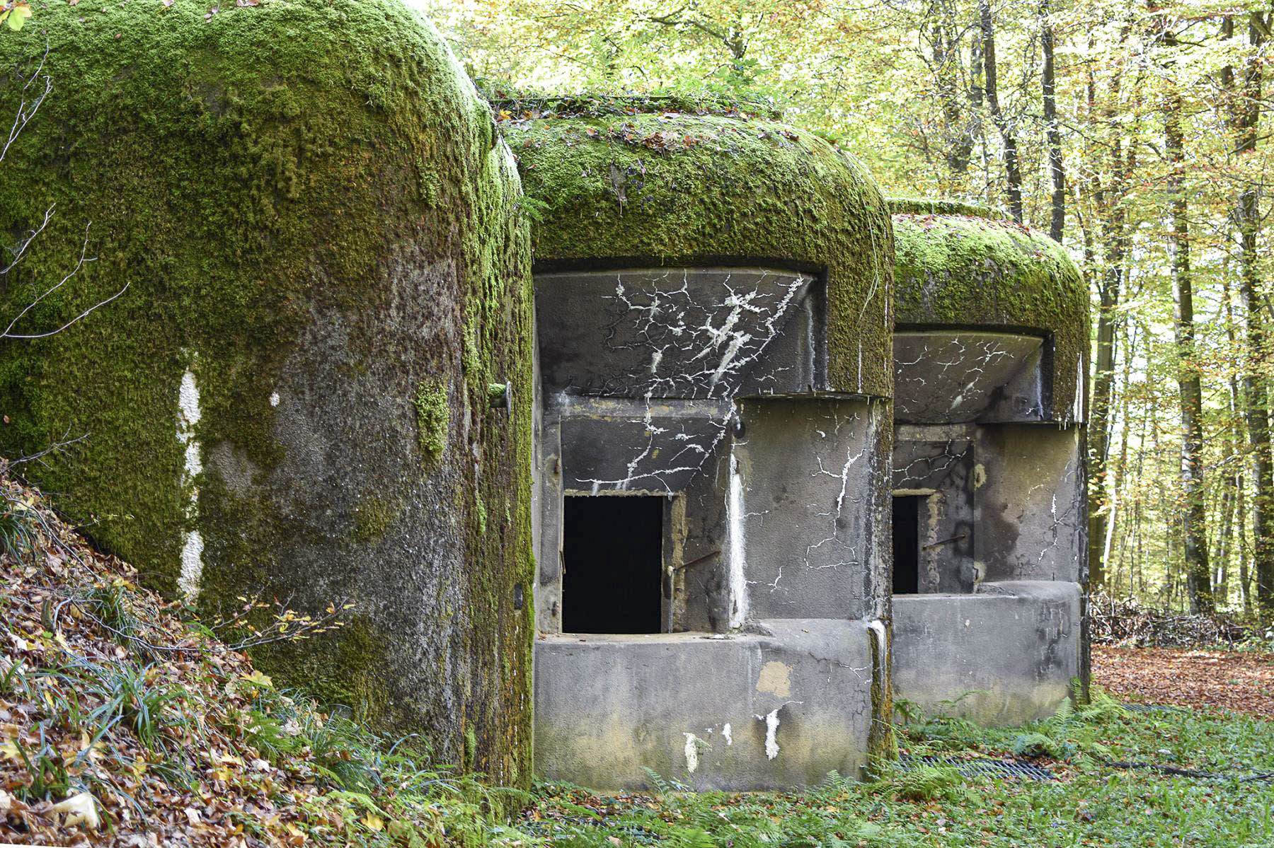 Ligne Maginot - 110 - BETTLACH - (Casemate d'artillerie) -  - David Palmer