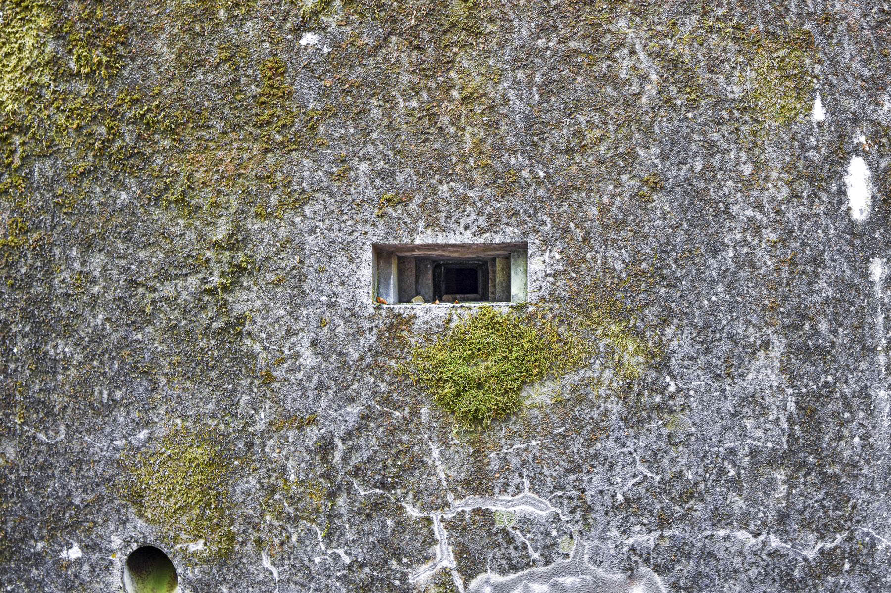 Ligne Maginot - 110 - BETTLACH - (Casemate d'artillerie) - Créneau
 - David Palmer