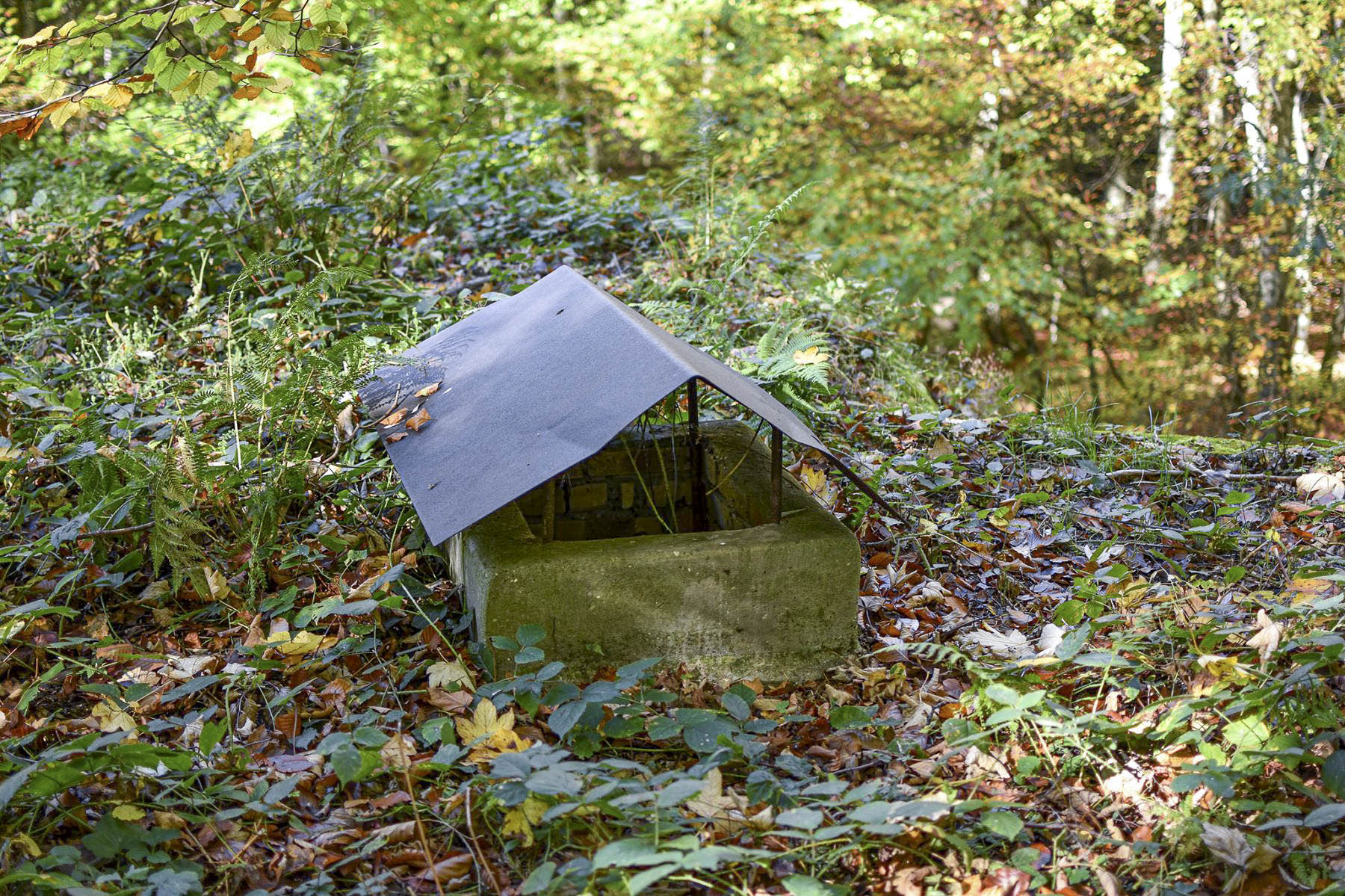Ligne Maginot - 110 - BETTLACH - (Casemate d'artillerie) - Cheminée - David Palmer
