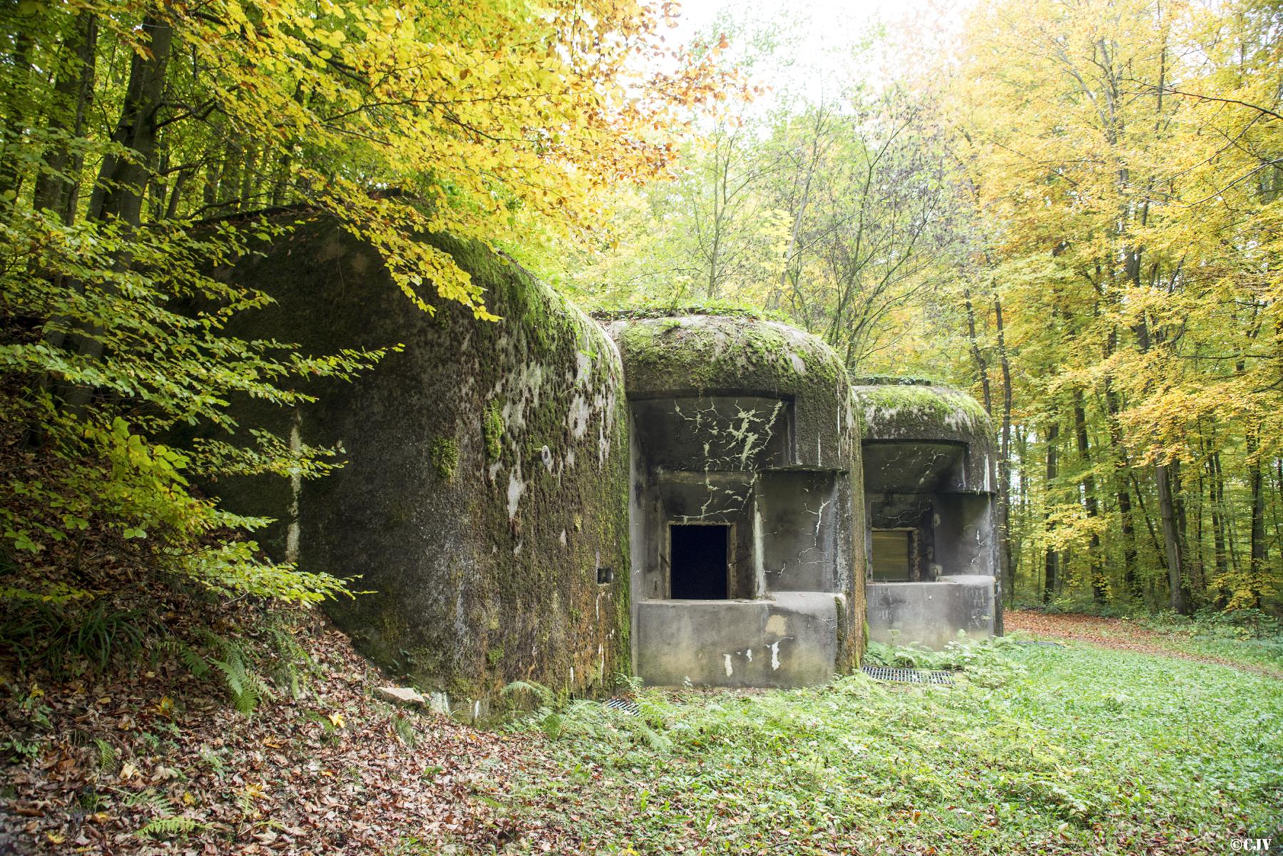 Ligne Maginot - 110 - BETTLACH - (Casemate d'artillerie) -  - Lia VERMEULEN