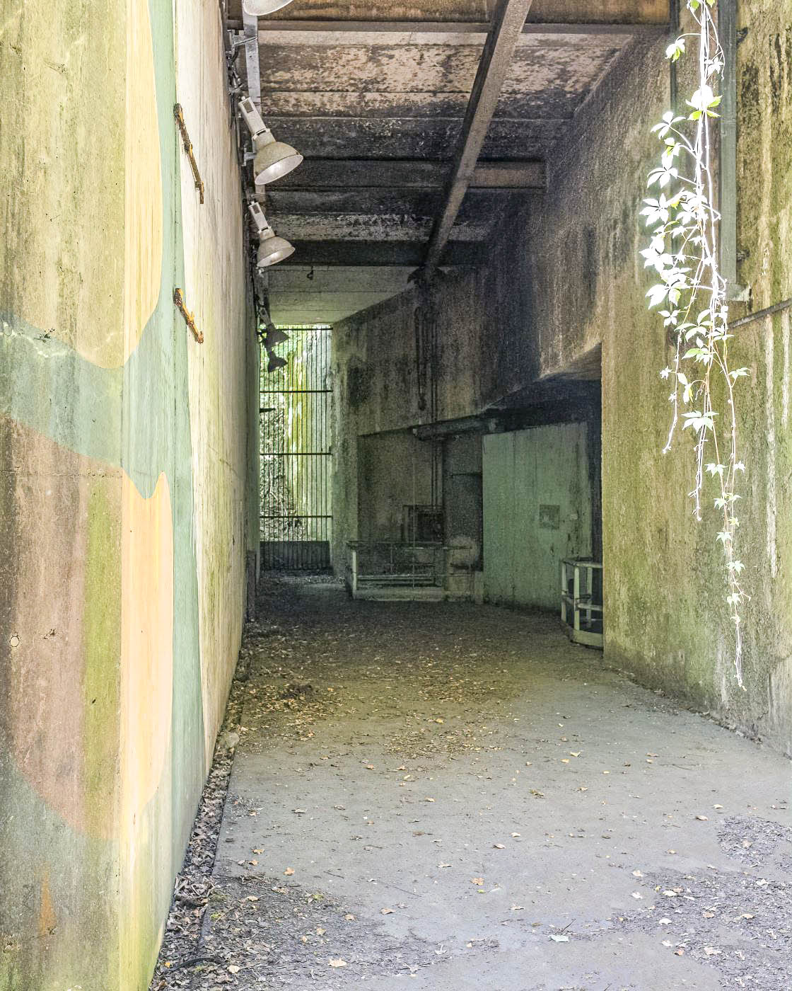 Ligne Maginot - ROCHONVILLERS - A8 - (Ouvrage d'artillerie) - Entrée munitions - David Palmer