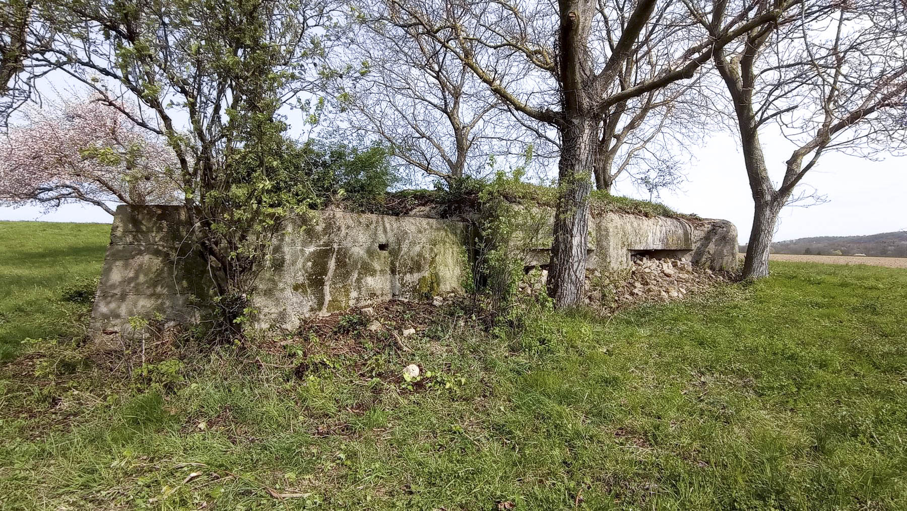 Ligne Maginot - KIRCHGRUBE SUD - (Blockhaus pour canon) - Vue générale  - Baptiste GAUDIN