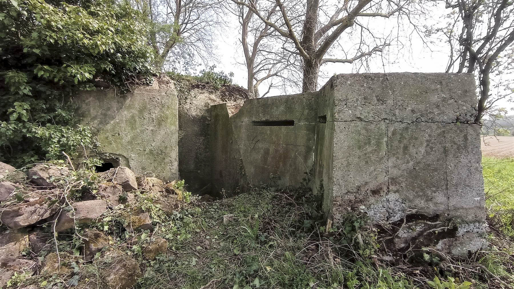 Ligne Maginot - KIRCHGRUBE SUD - (Blockhaus pour canon) - Le mur protégeant l'entrée hommes munis de deux créneaux d'observation - Baptiste GAUDIN