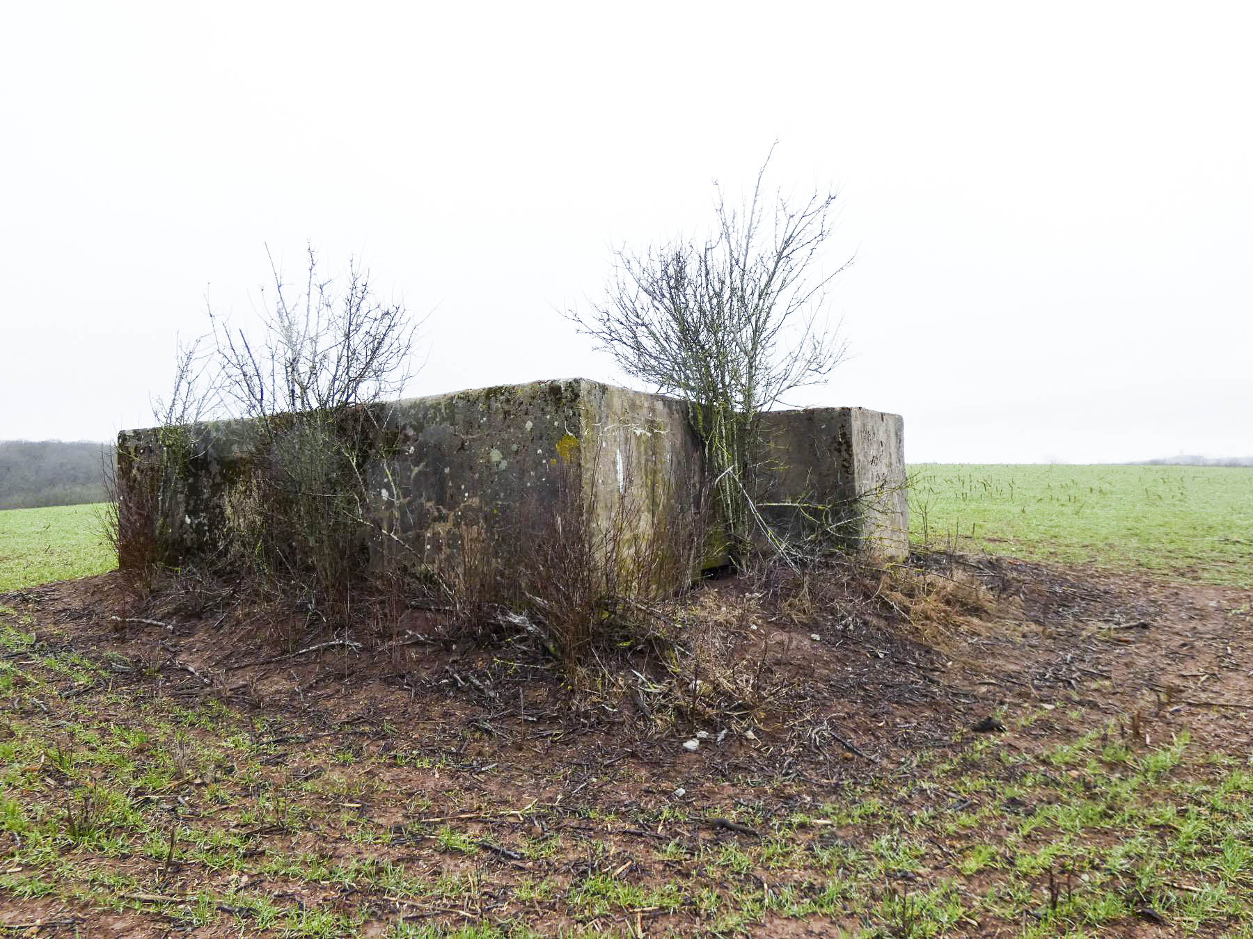 Ligne Maginot - BB348BIS - (Blockhaus pour arme infanterie) - La façade de tir du blockhaus. - STENGER Mathieu