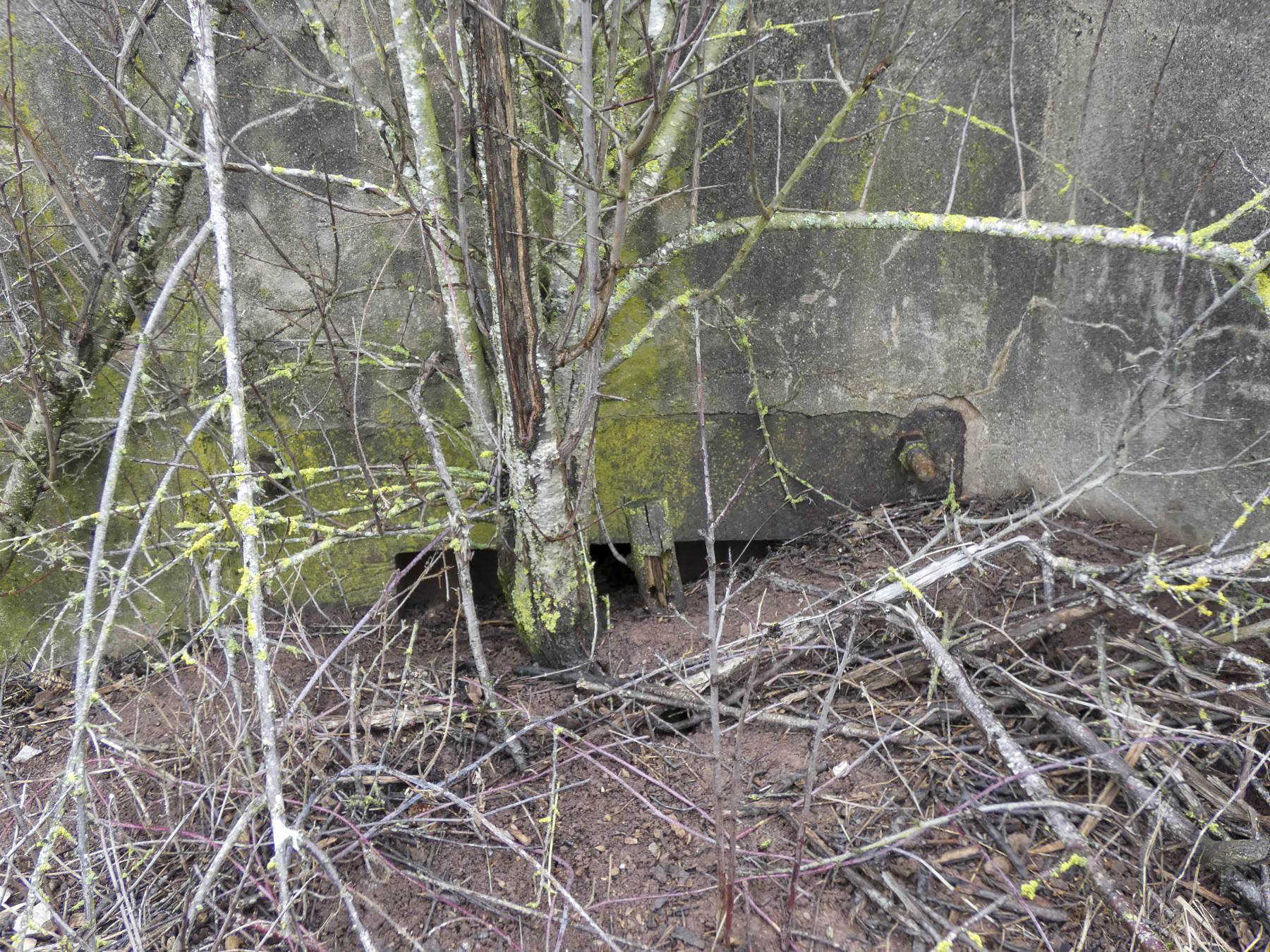 Ligne Maginot - BB348BIS - (Blockhaus pour arme infanterie) - Le créneaux en partie remblayé. - STENGER Mathieu
