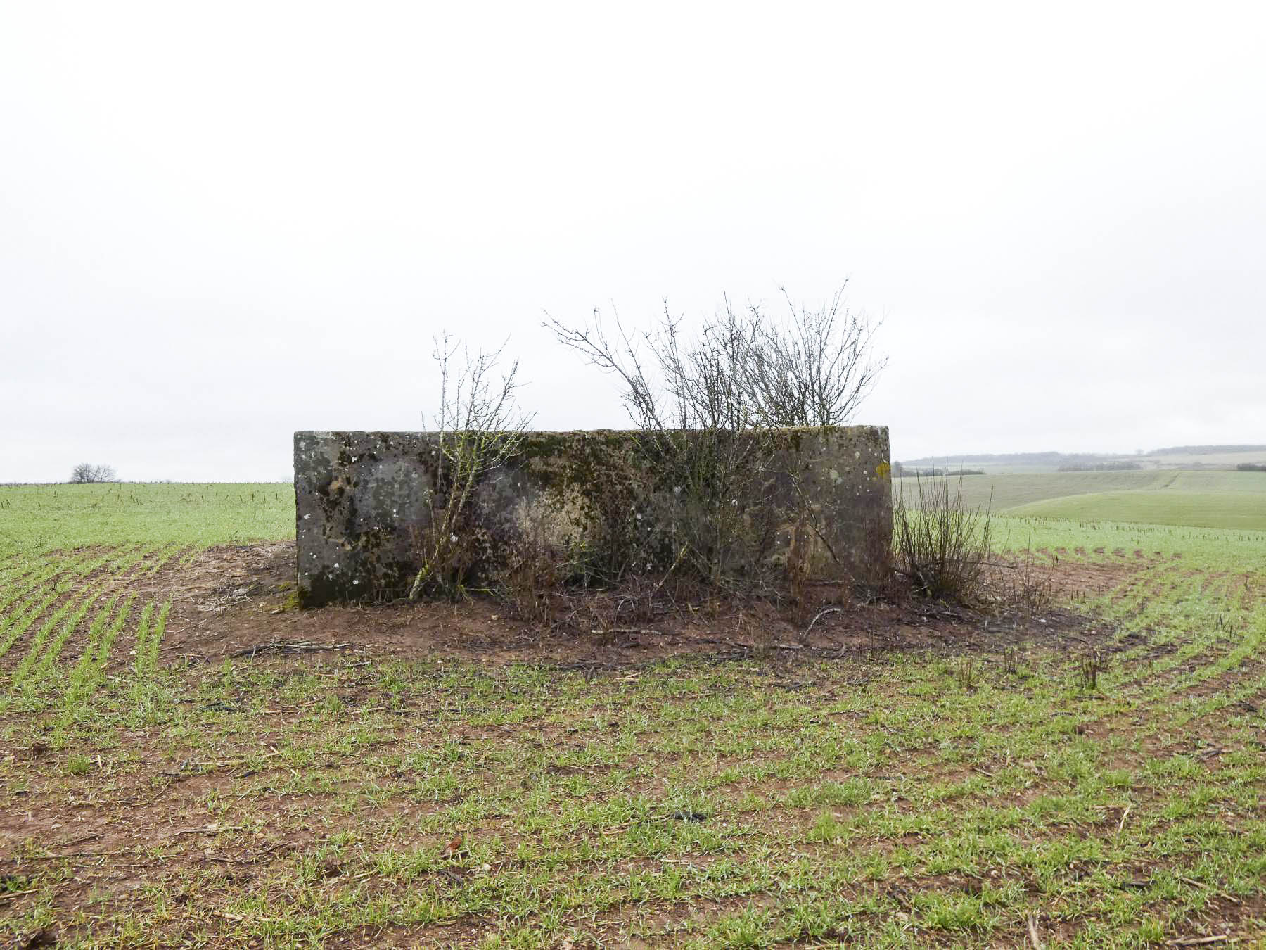 Ligne Maginot - BB348BIS - (Blockhaus pour arme infanterie) - La façade de l'entrée remblayée. - STENGER Mathieu