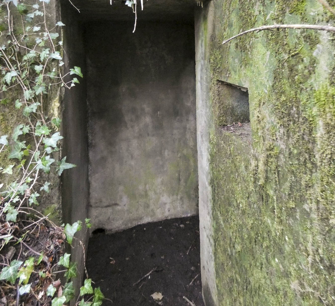 Ligne Maginot - BB8 - KOBENBERG - (Blockhaus pour canon) - L'entrée du blockhaus. - STENGER Mathieu