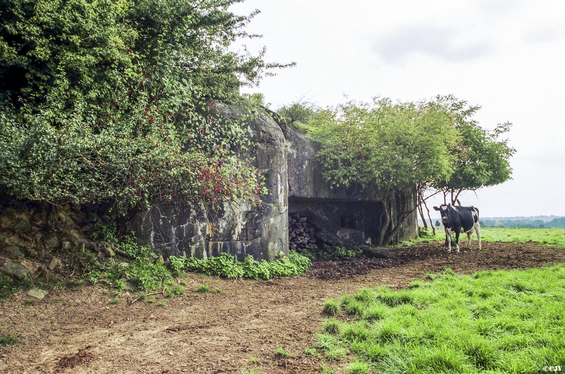 Ligne Maginot - OBERROEDERN NORD - (Casemate d'infanterie - Double) -  - Caspar Vermeulen